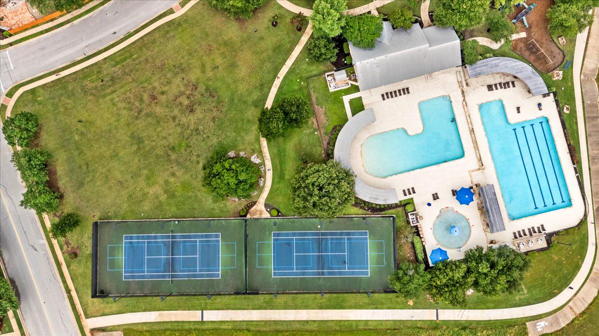 3013 Agave LOOP