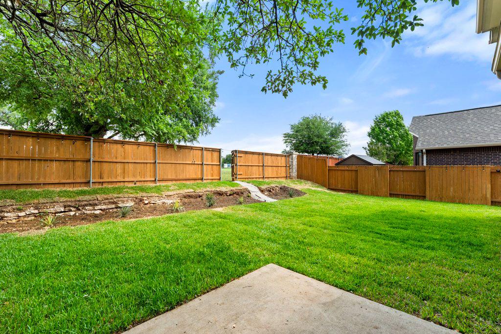 3013 Agave LOOP