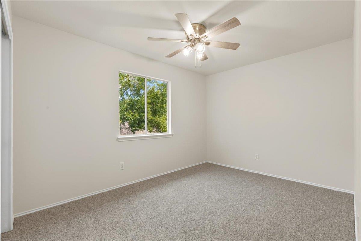 11313 Pardoners Tale LN
