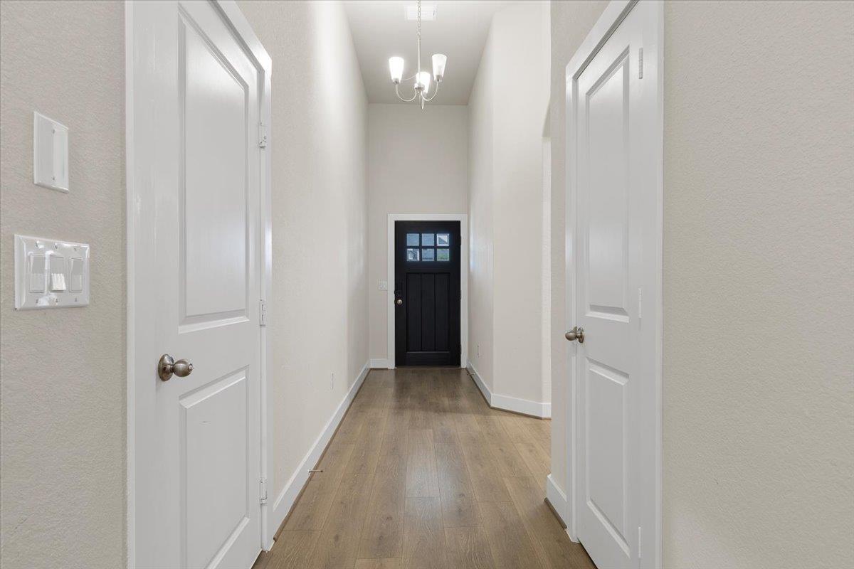 450 Durian LOOP