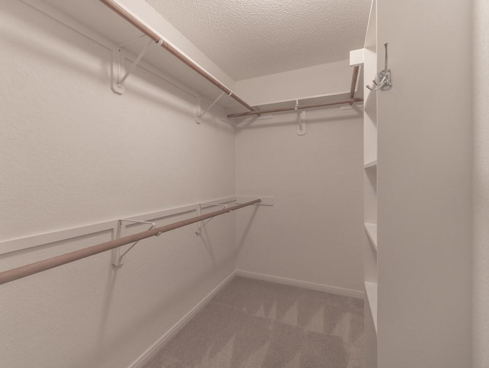 2411 Raintree PATH