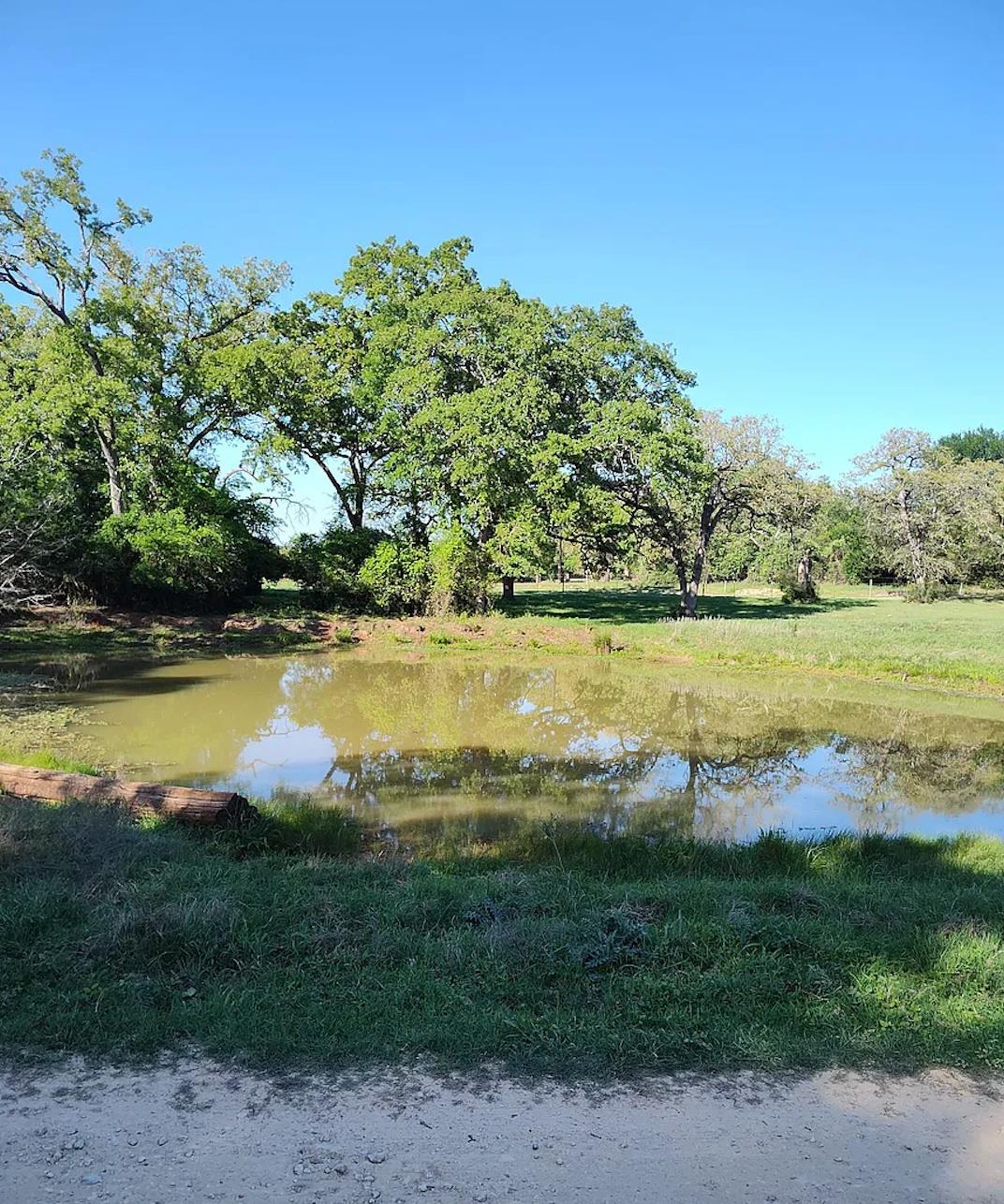 1103 Private Road 7015