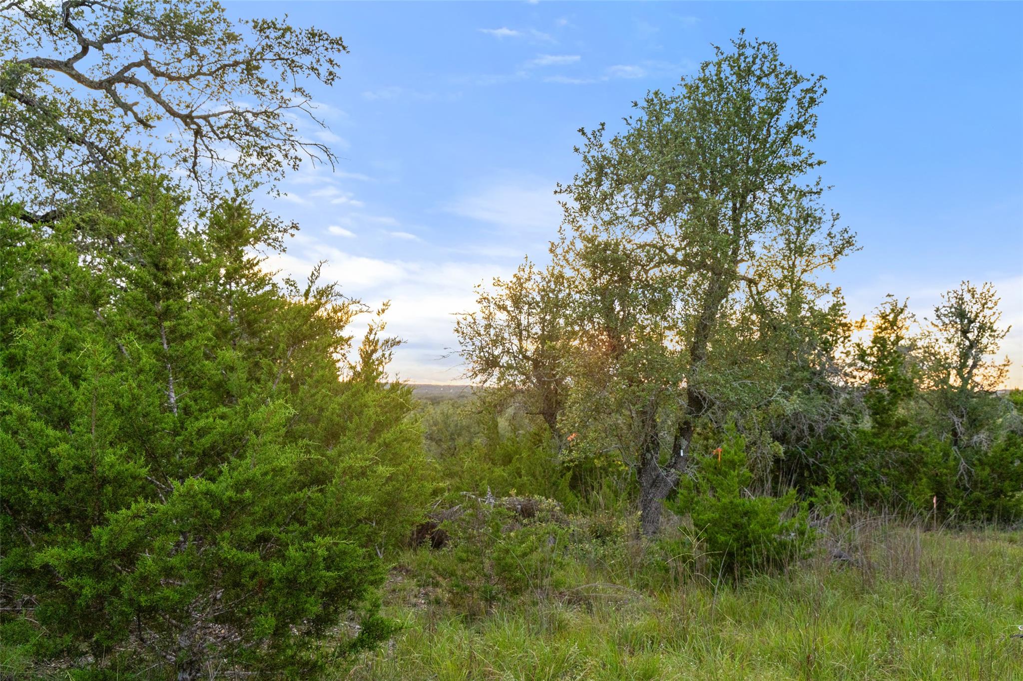 32000 Mirela Ann RD