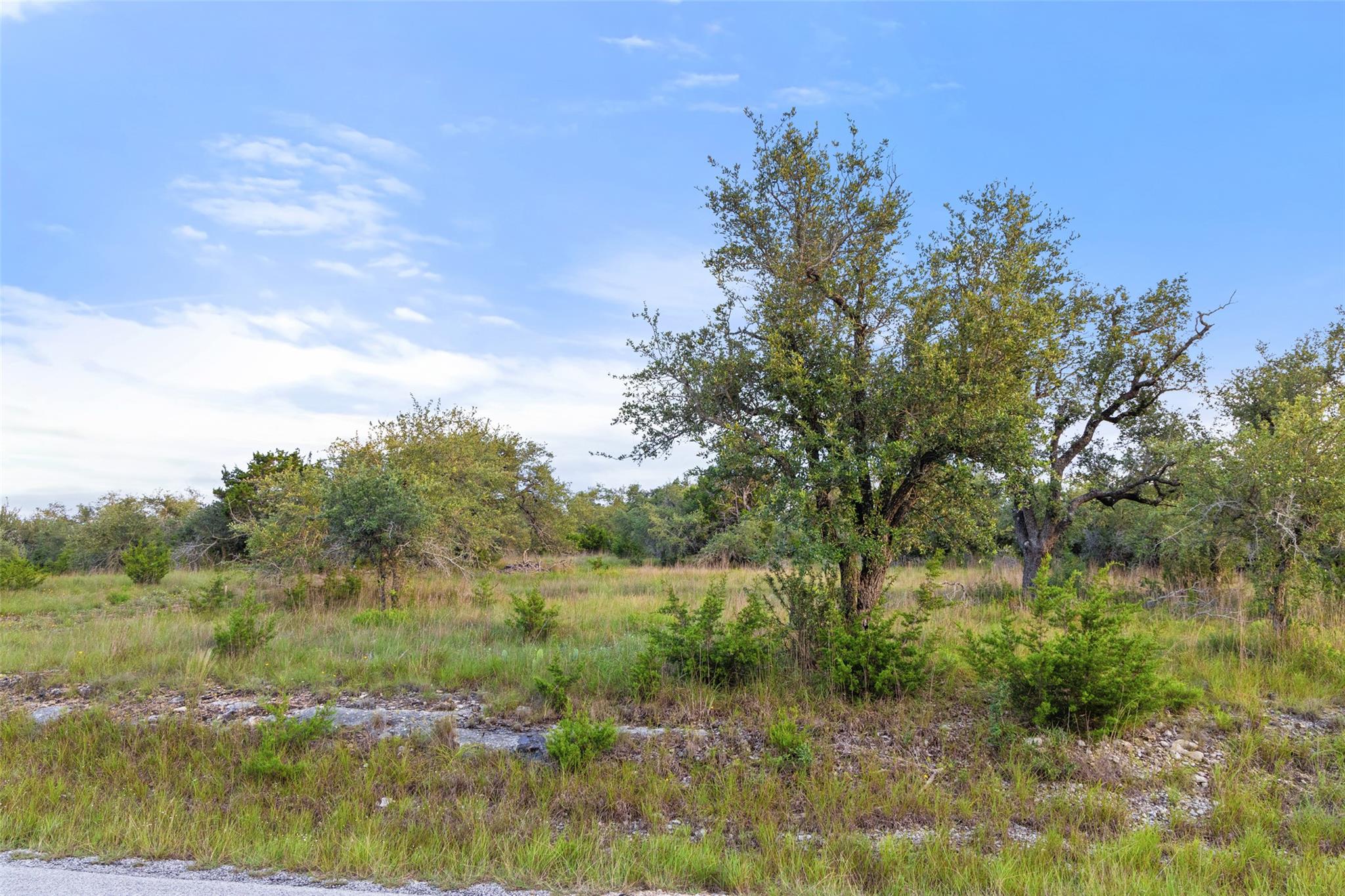 32000 Mirela Ann RD