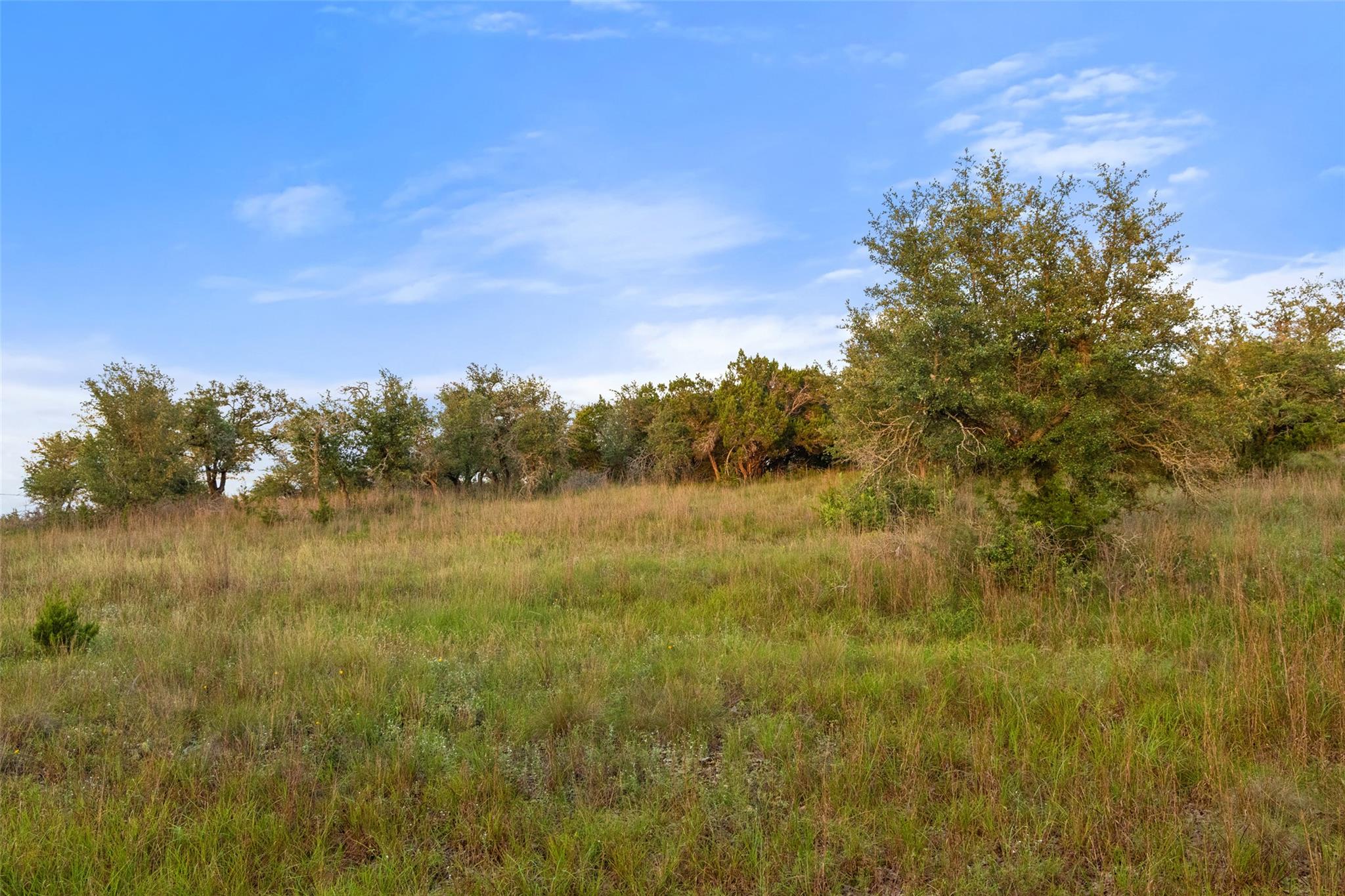 32000 Mirela Ann RD