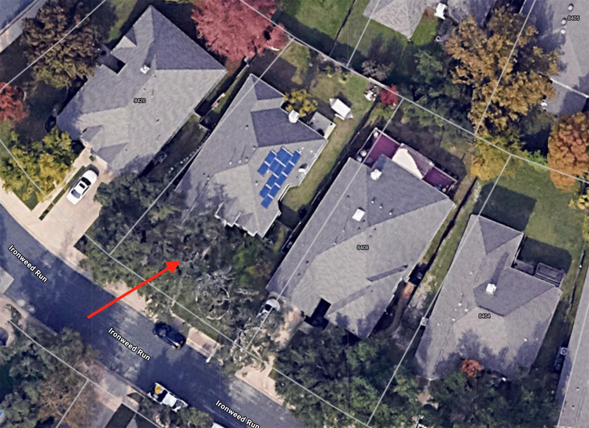 8414 Ironweed RUN