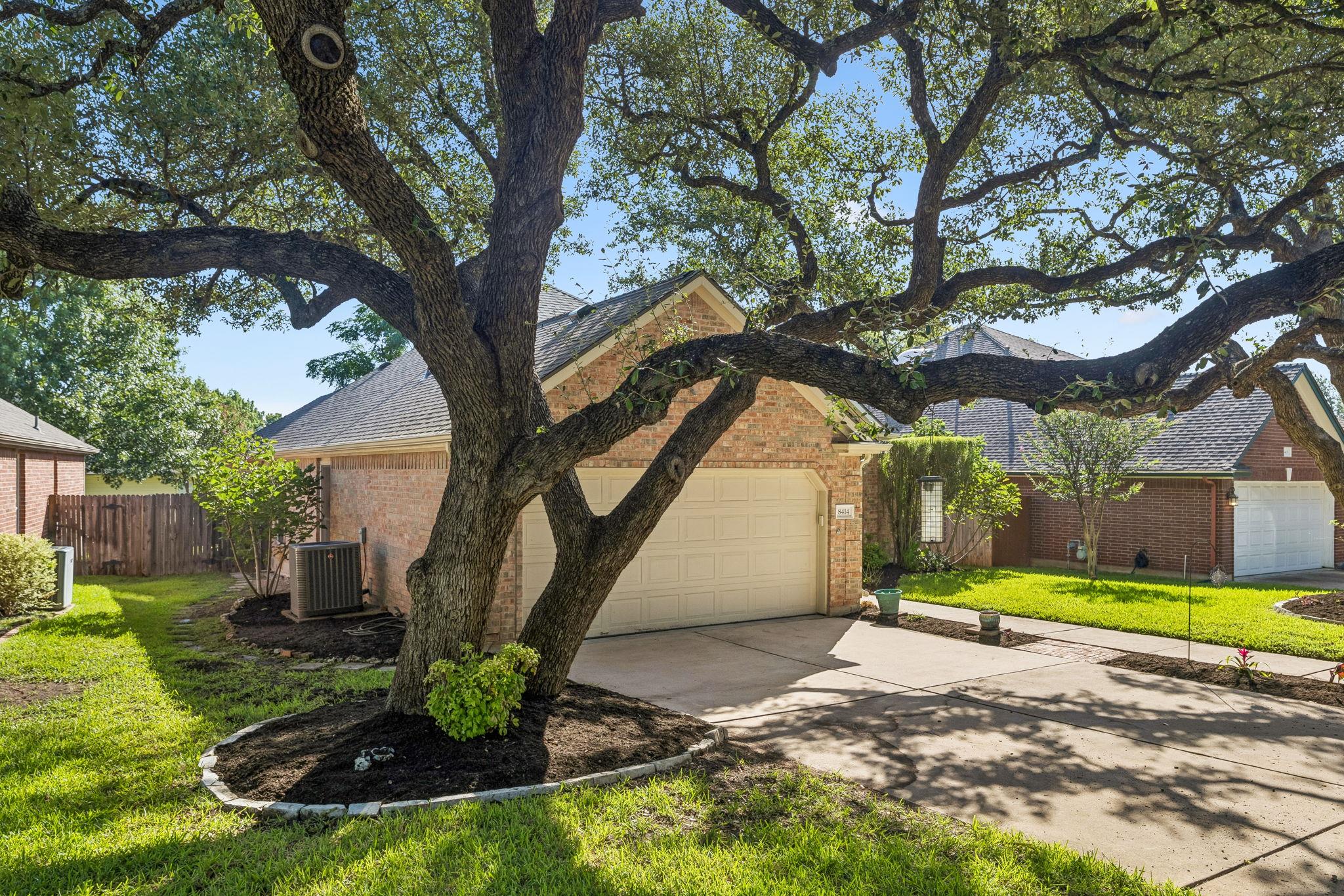8414 Ironweed RUN
