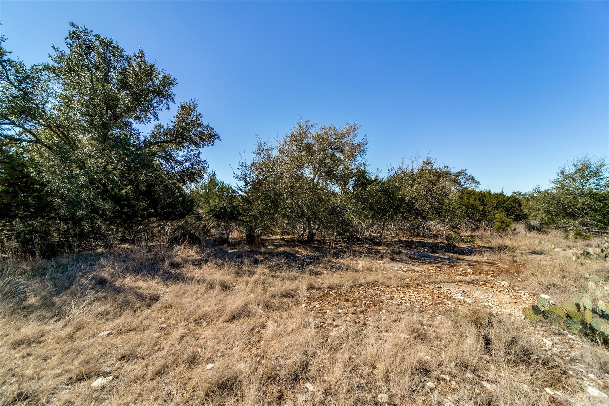 Lot 85 Palomino Springs