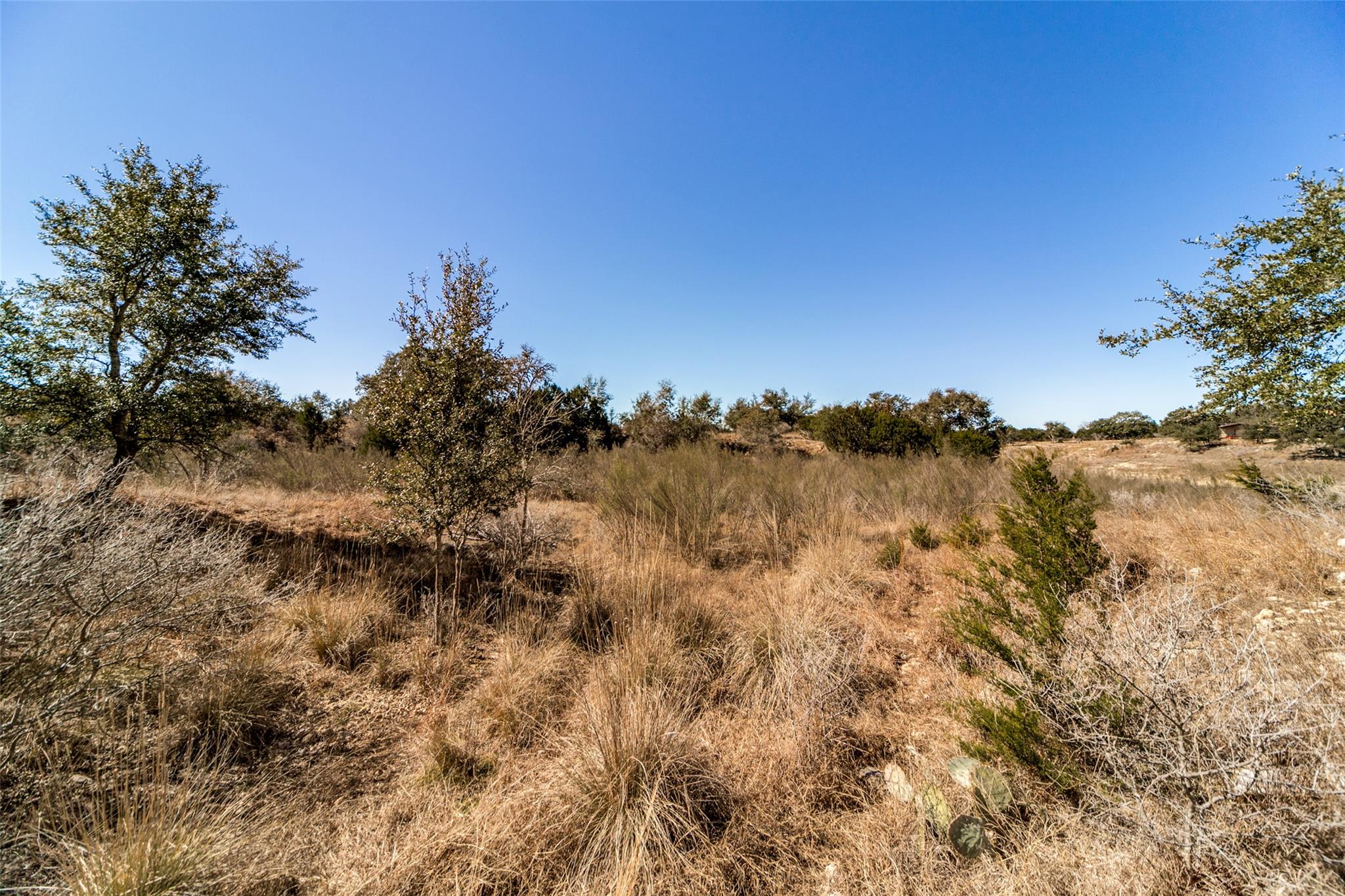 Lot 85 Palomino Springs