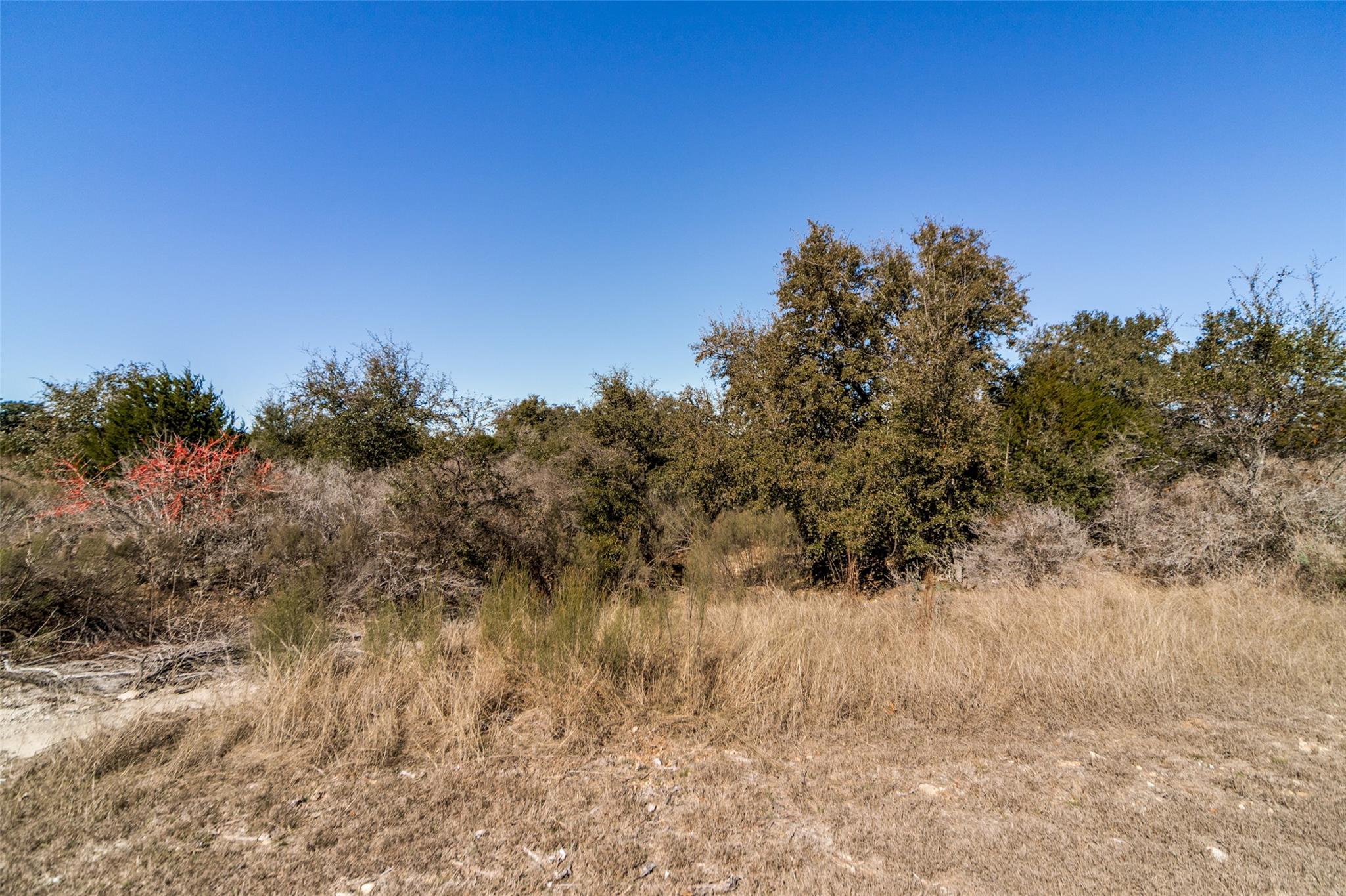 Lot 85 Palomino Springs