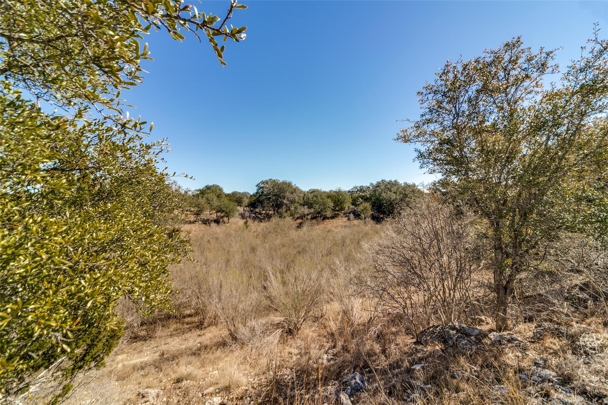 Lot 85 Palomino Springs