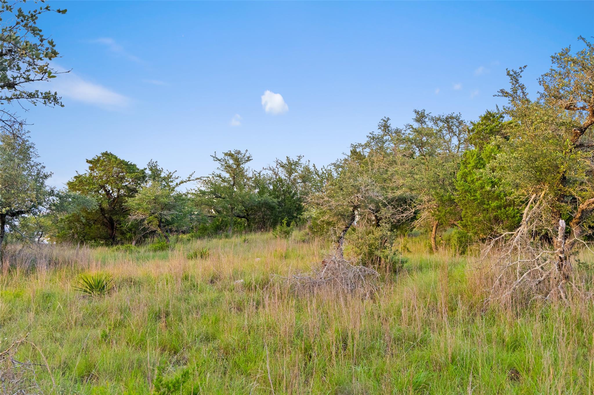 31890 Mirela Ann RD