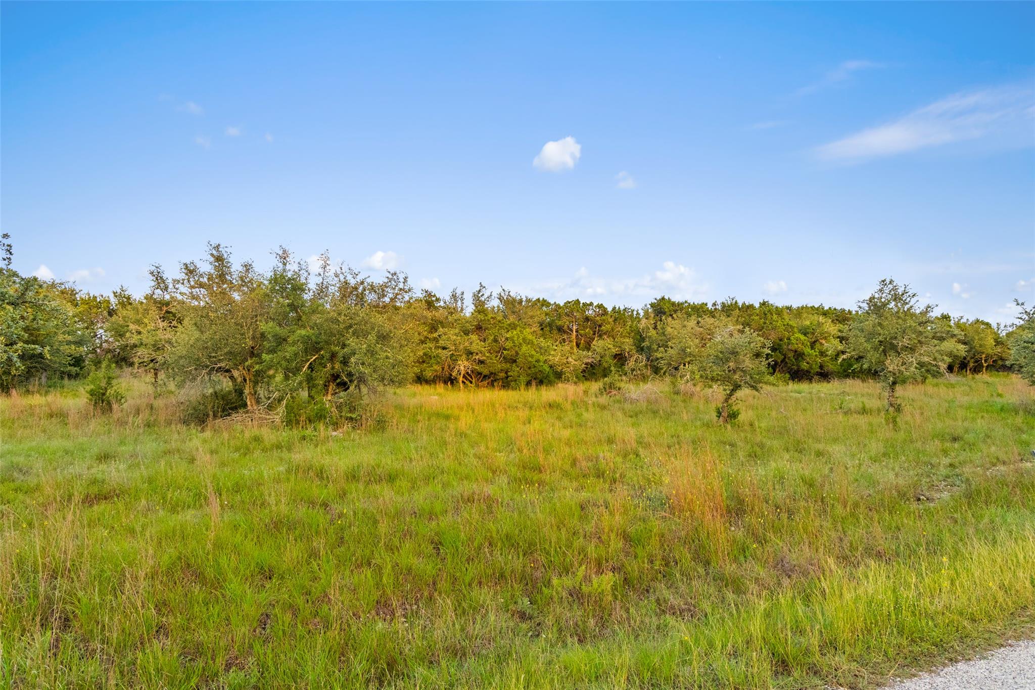 31890 Mirela Ann RD