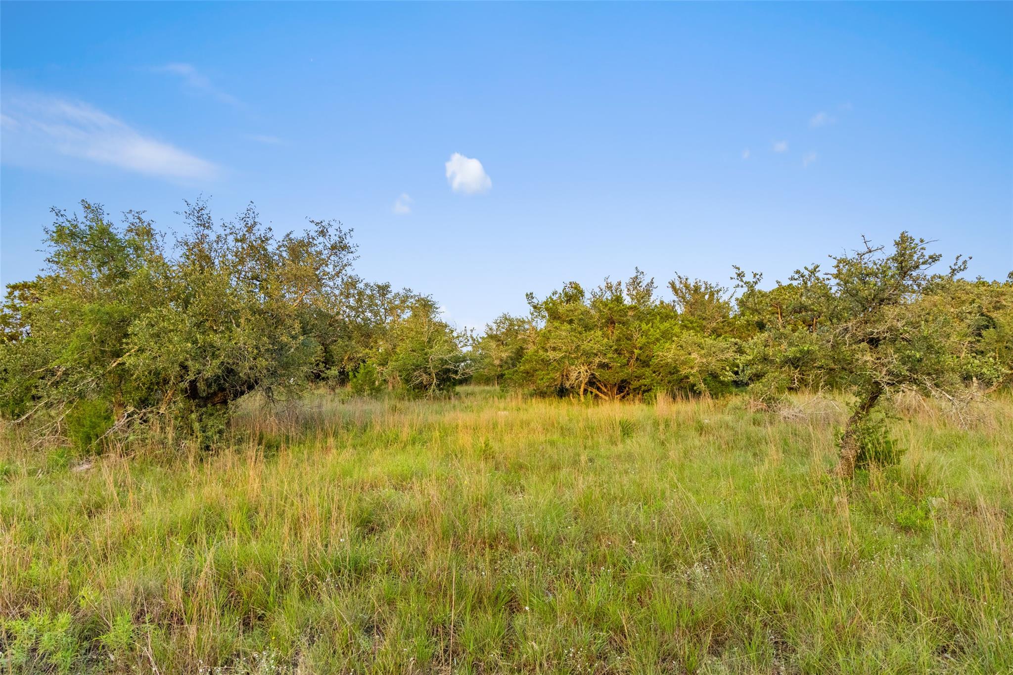 31890 Mirela Ann RD