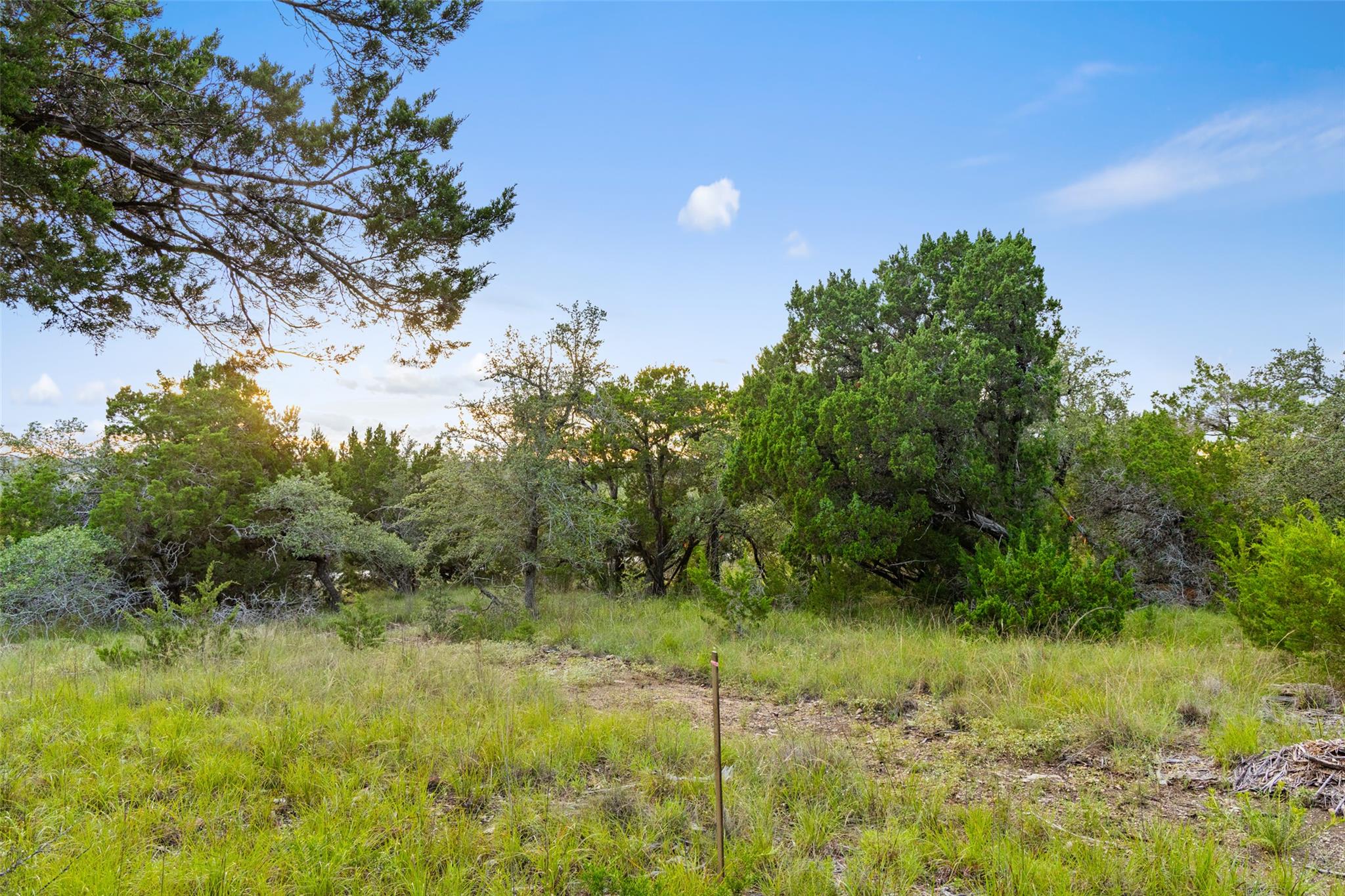 31890 Mirela Ann RD