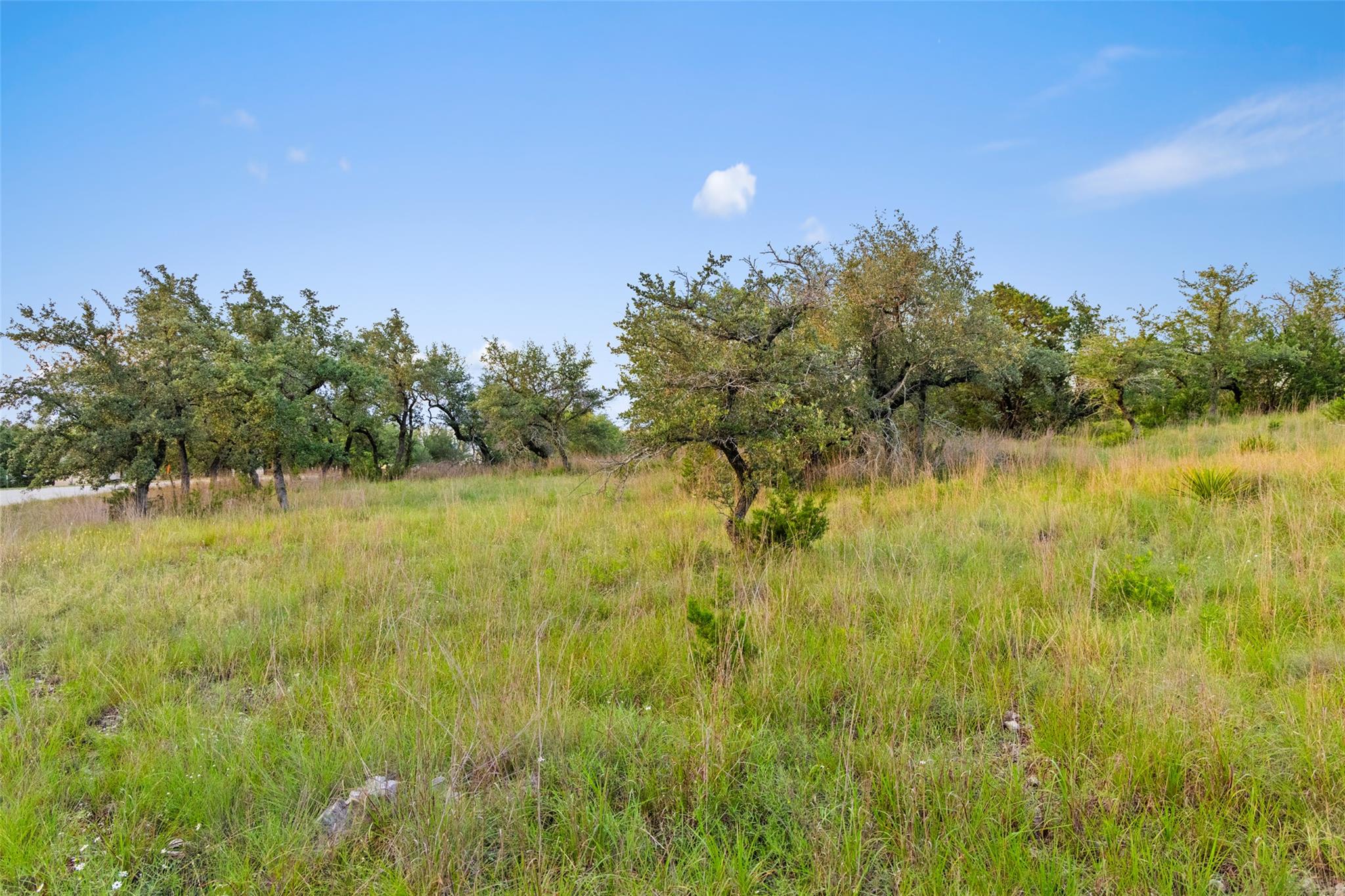 31890 Mirela Ann RD