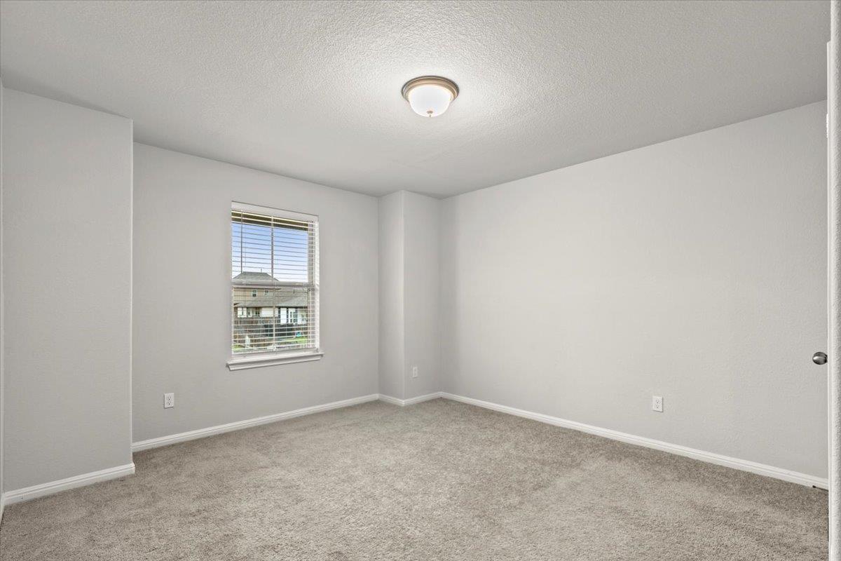 213 Munk LN