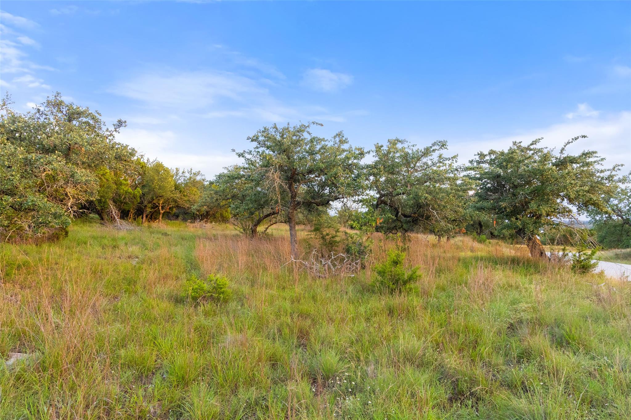 31930 Mirela Ann RD