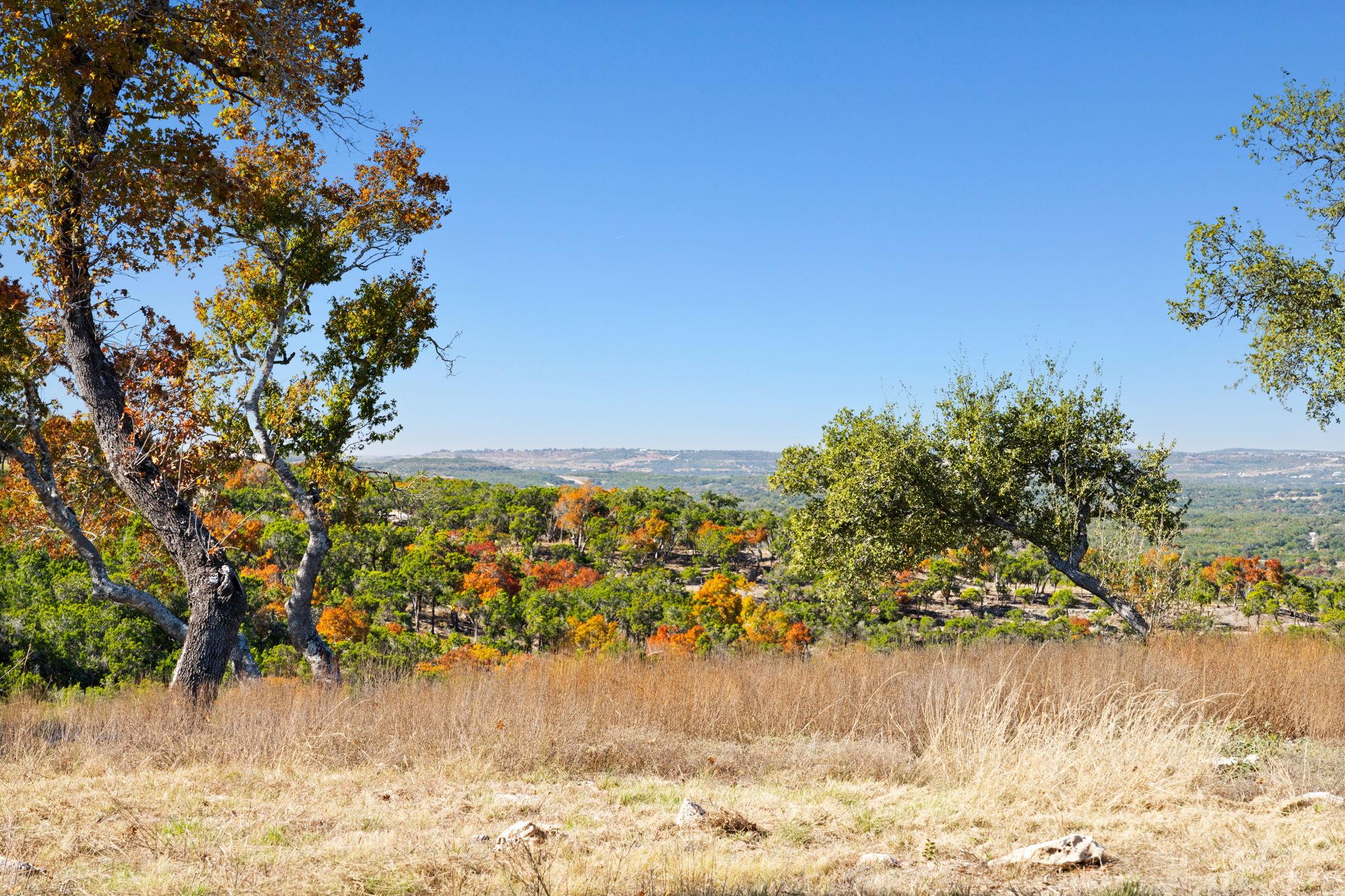 3300 FM 165 - Lot 13A