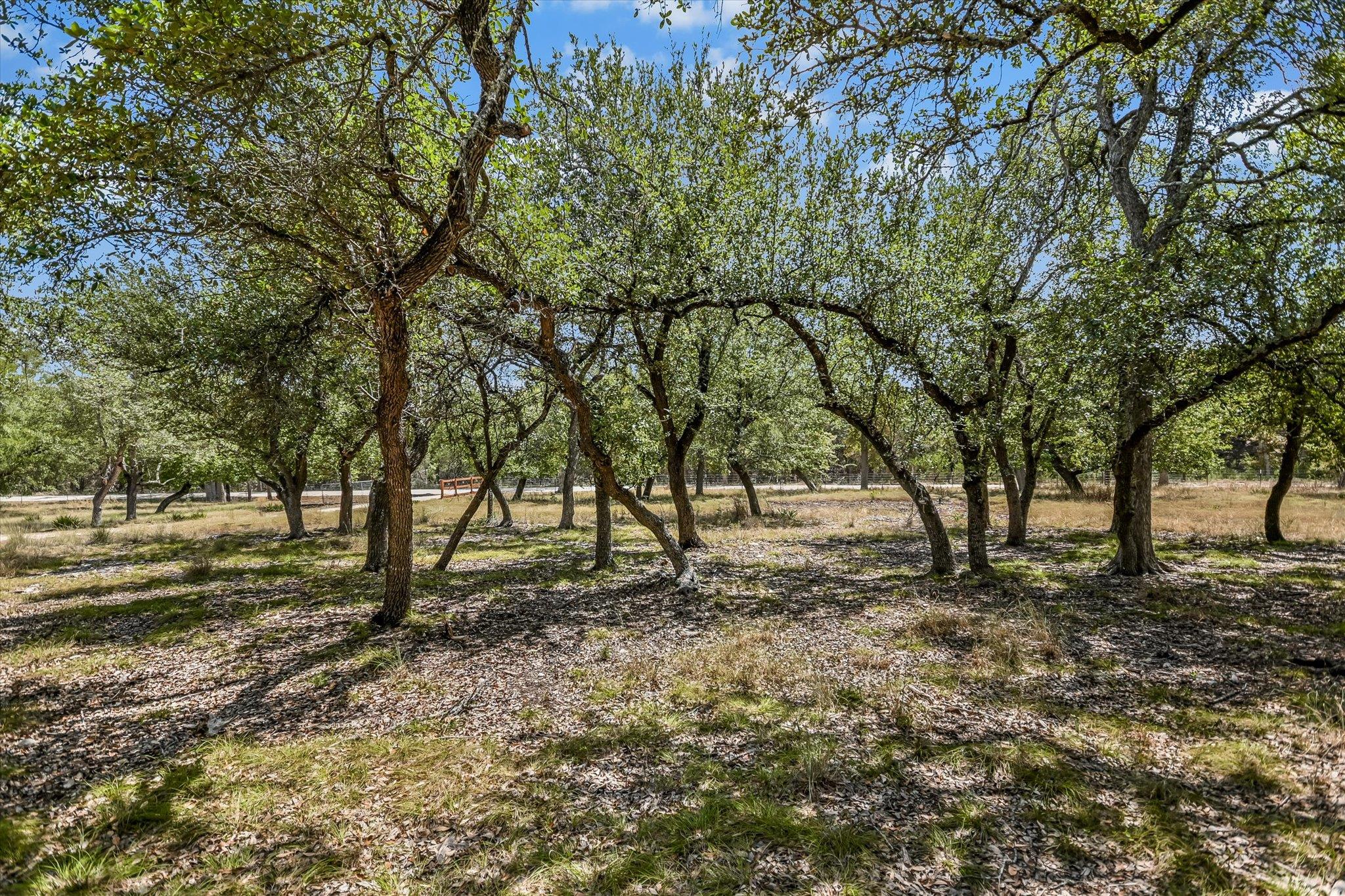 401 N RAINBOW RANCH RD