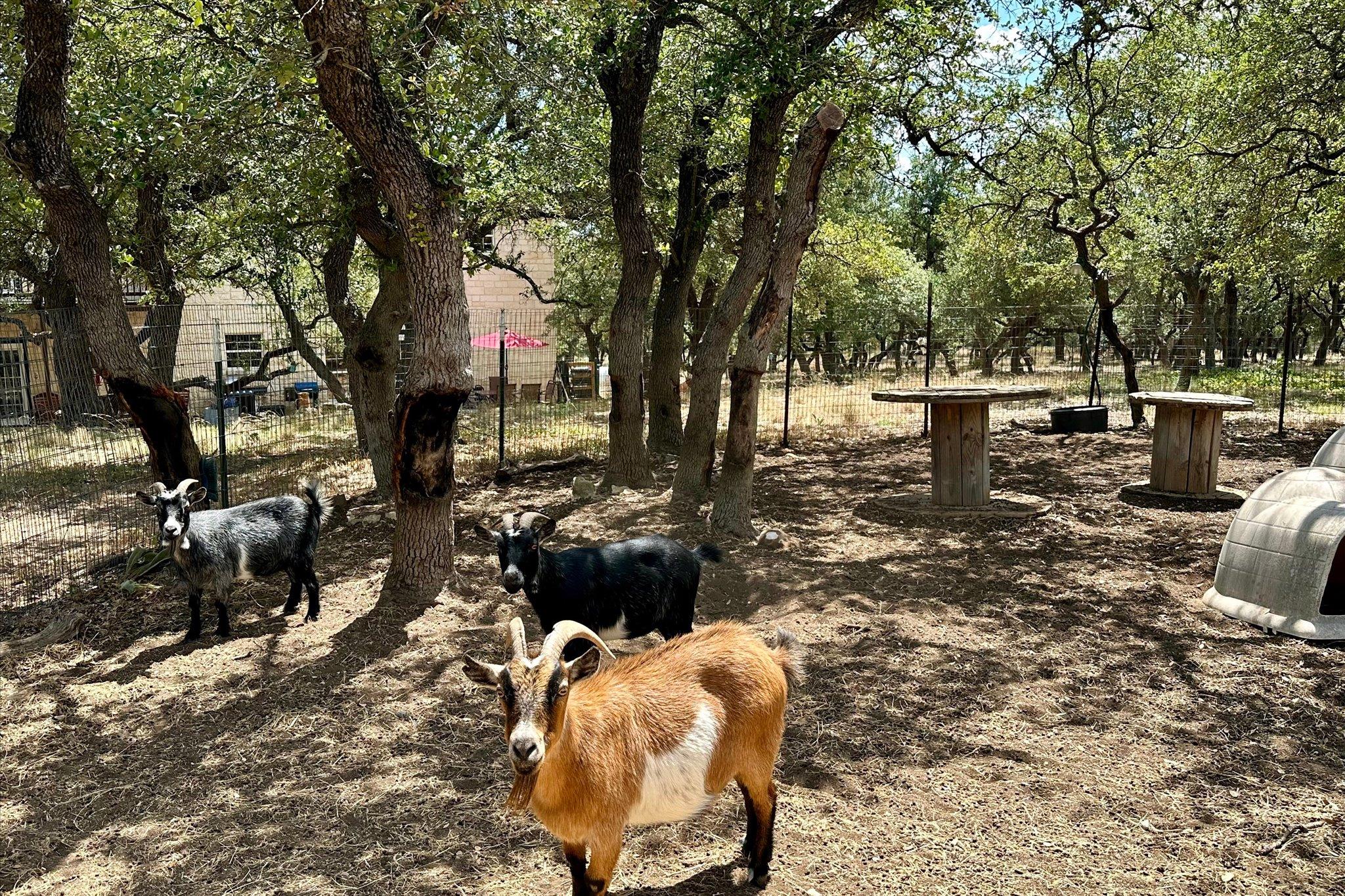 401 N RAINBOW RANCH RD