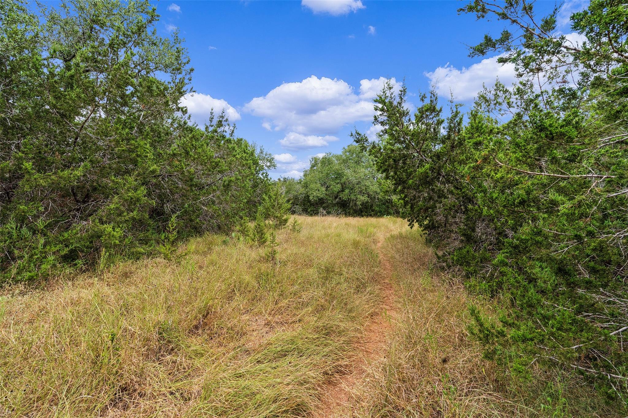 TBD Escarpment BLVD