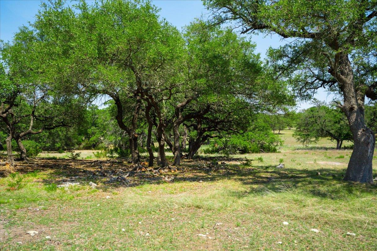 7890 US 290 Highway