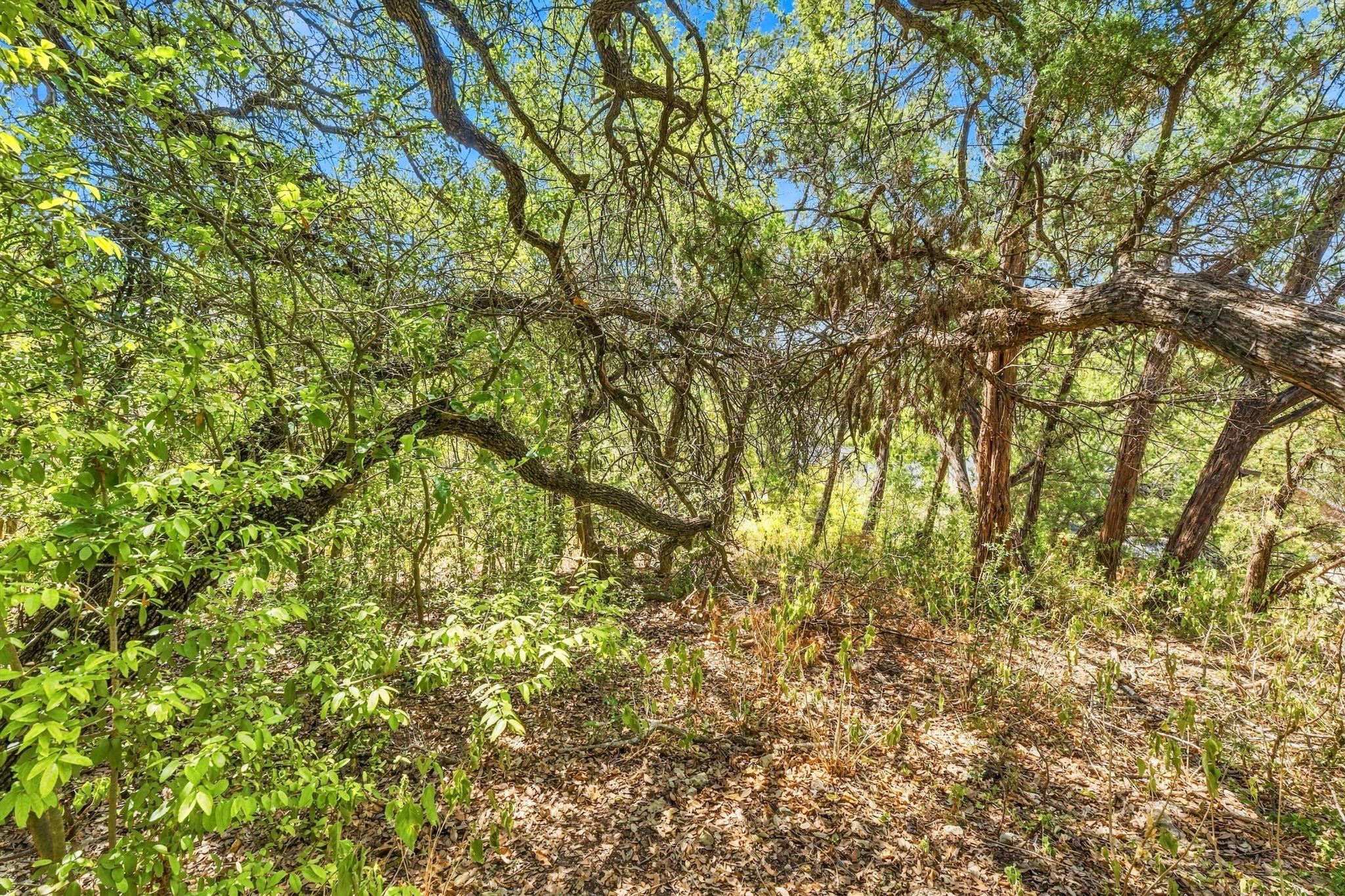 6401 Dry Cliff CV