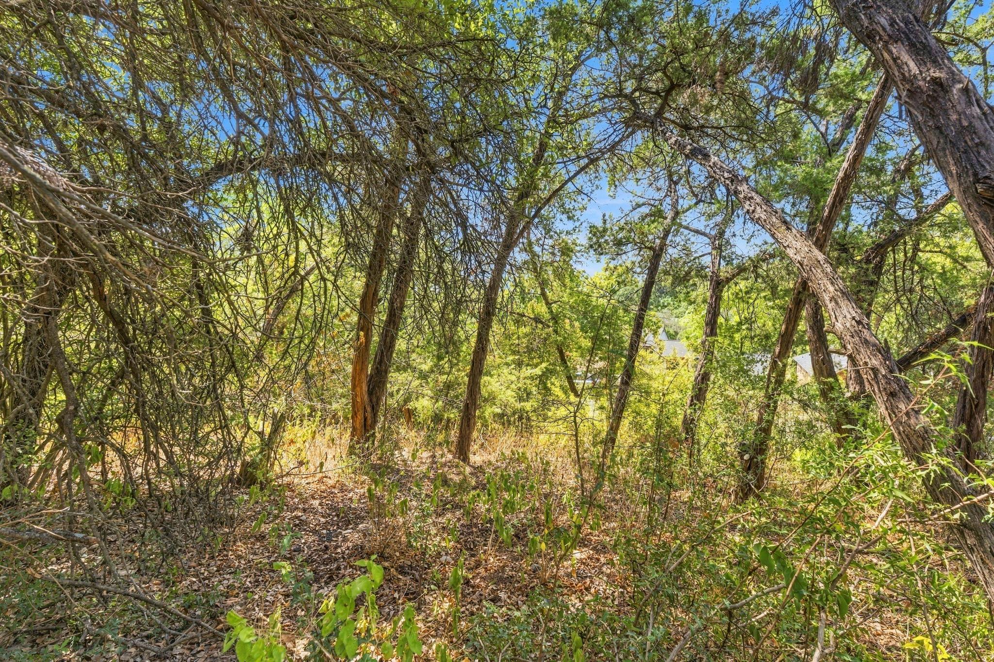 6401 Dry Cliff CV