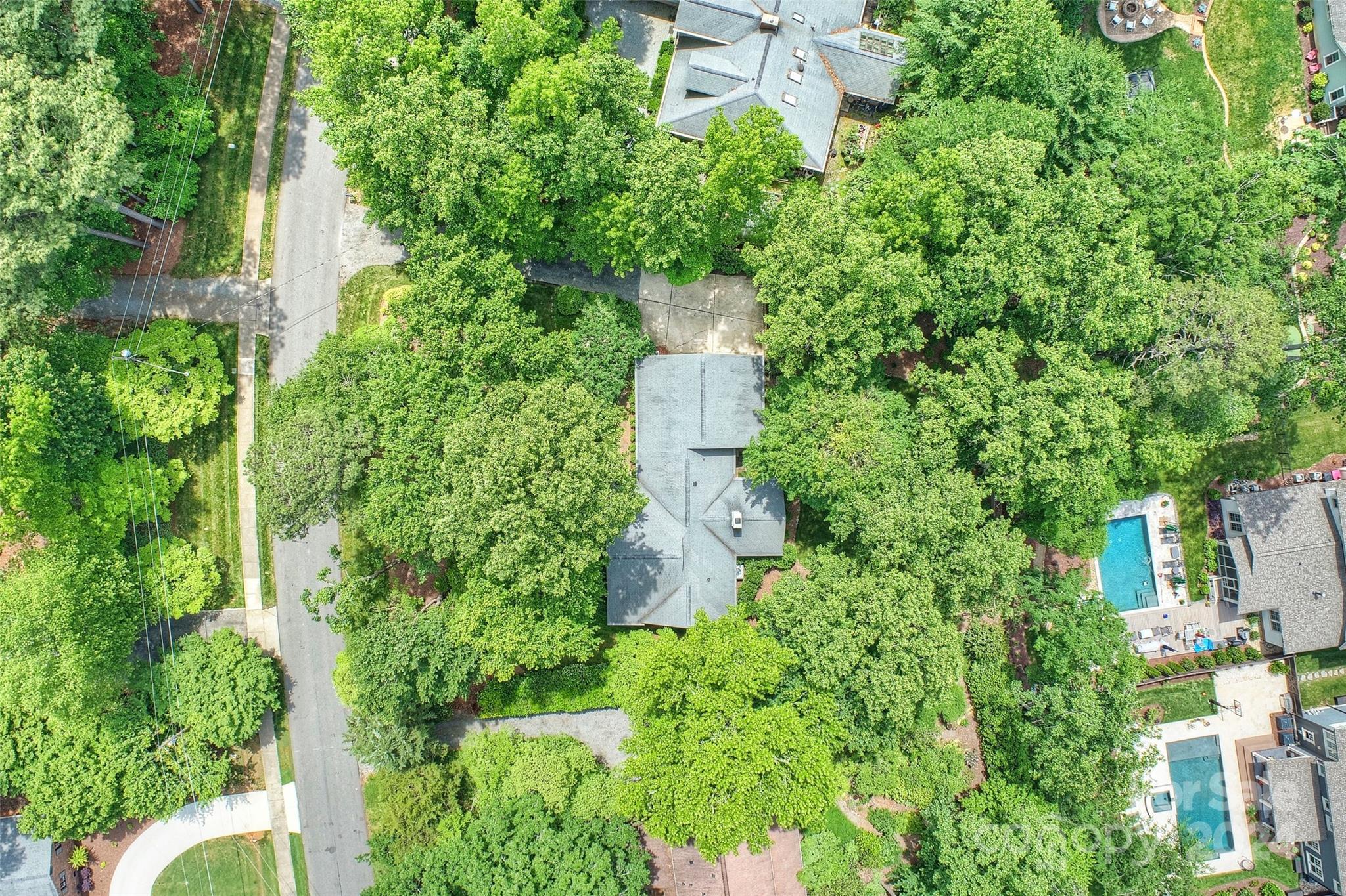 548 Pine Road