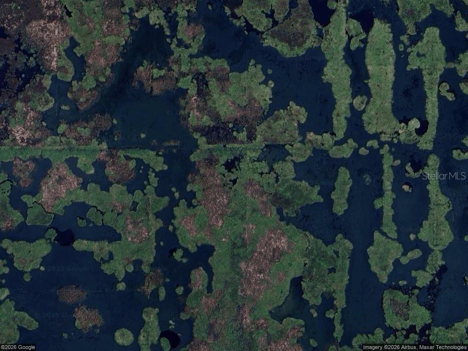 462 EMERALD GROVE DR