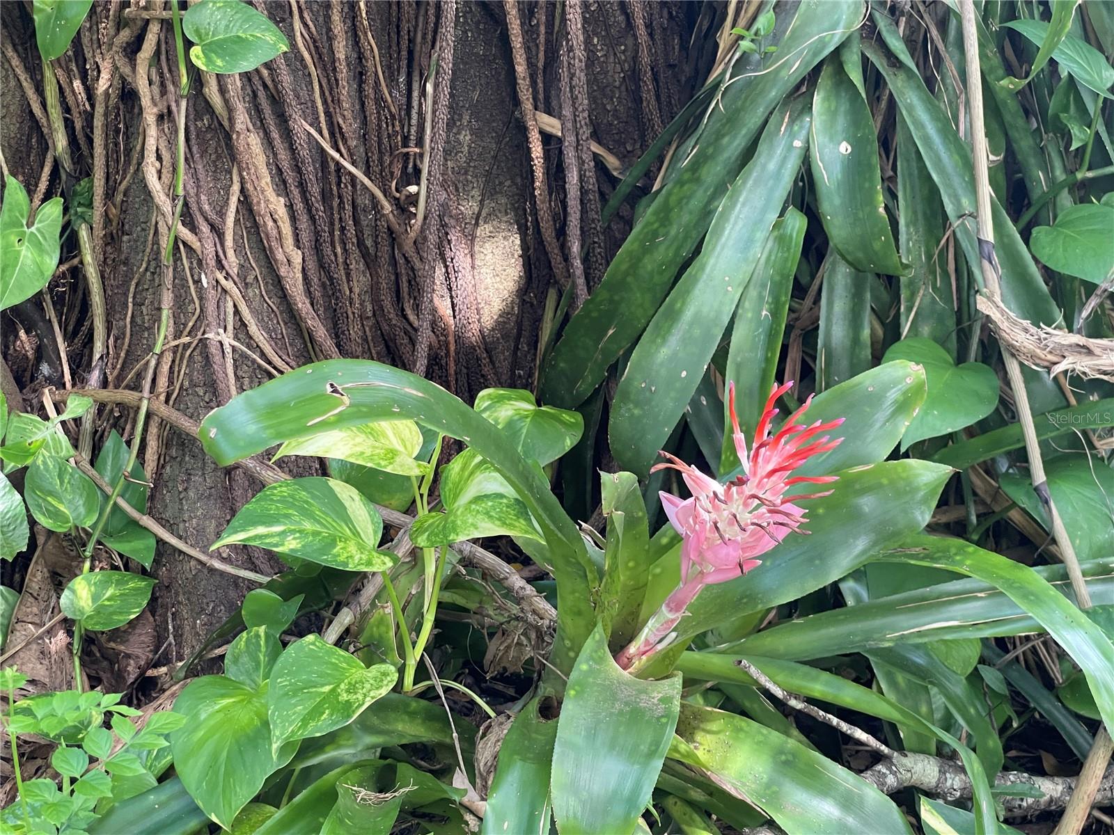 622 SPRING OAKS BLVD