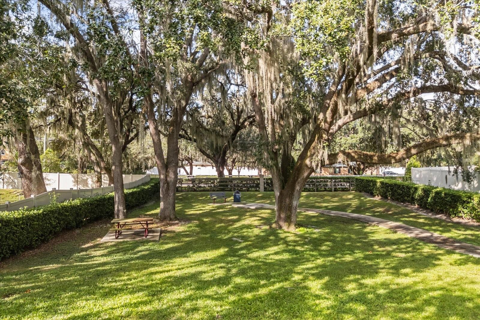 639 PRIMROSE WILLOW WAY