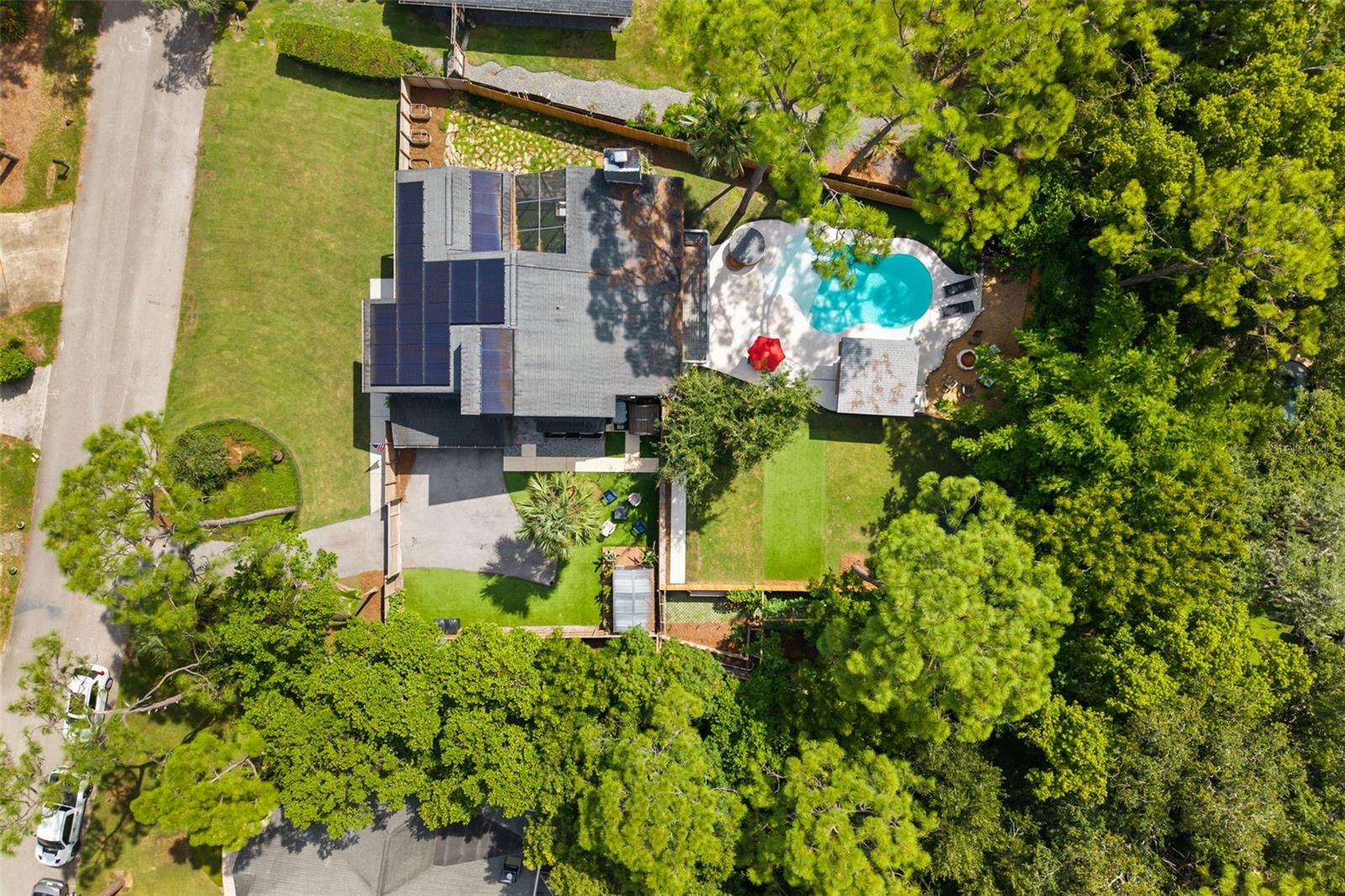 104 WILD FERN DR