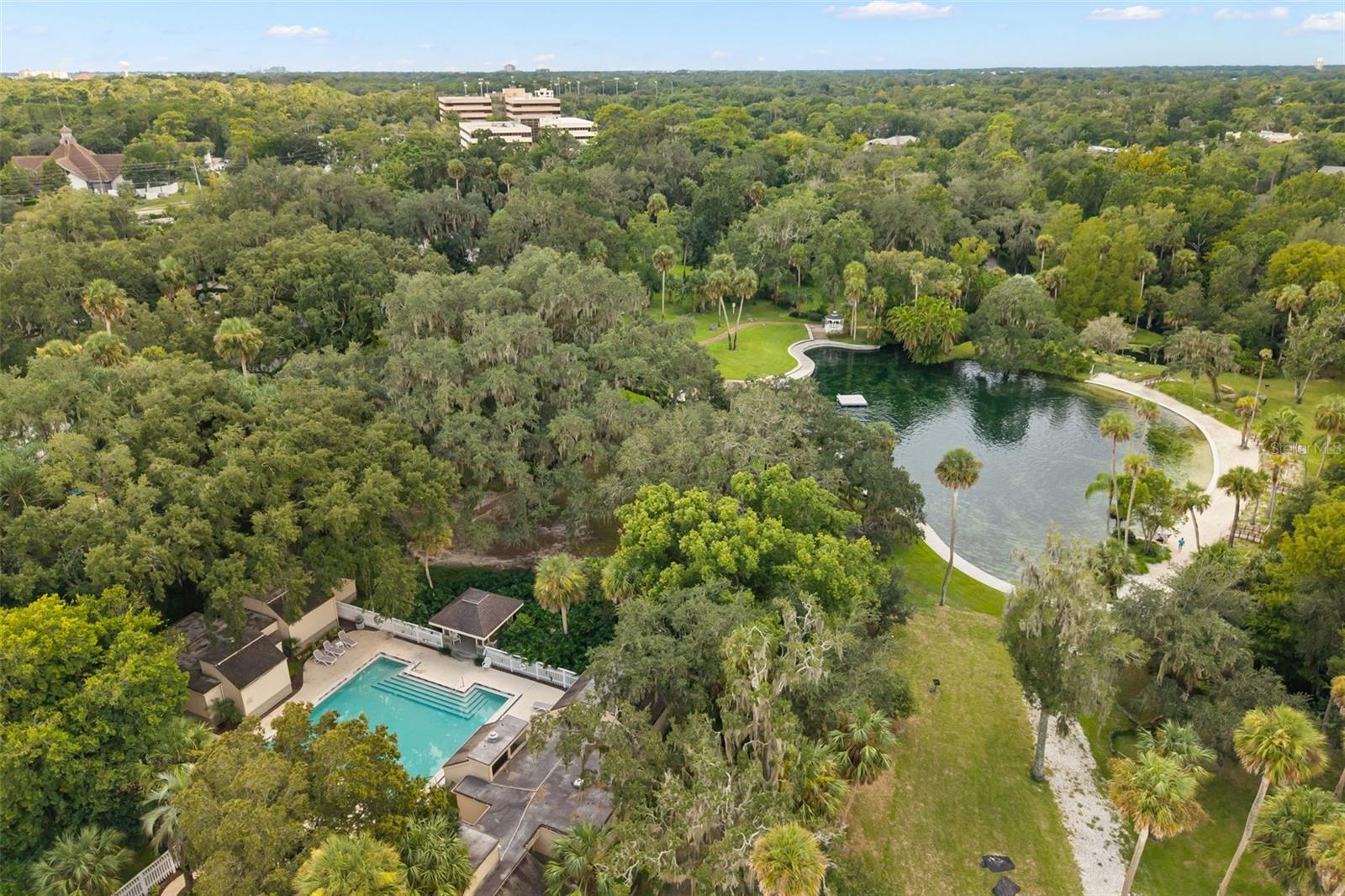 104 WILD FERN DR