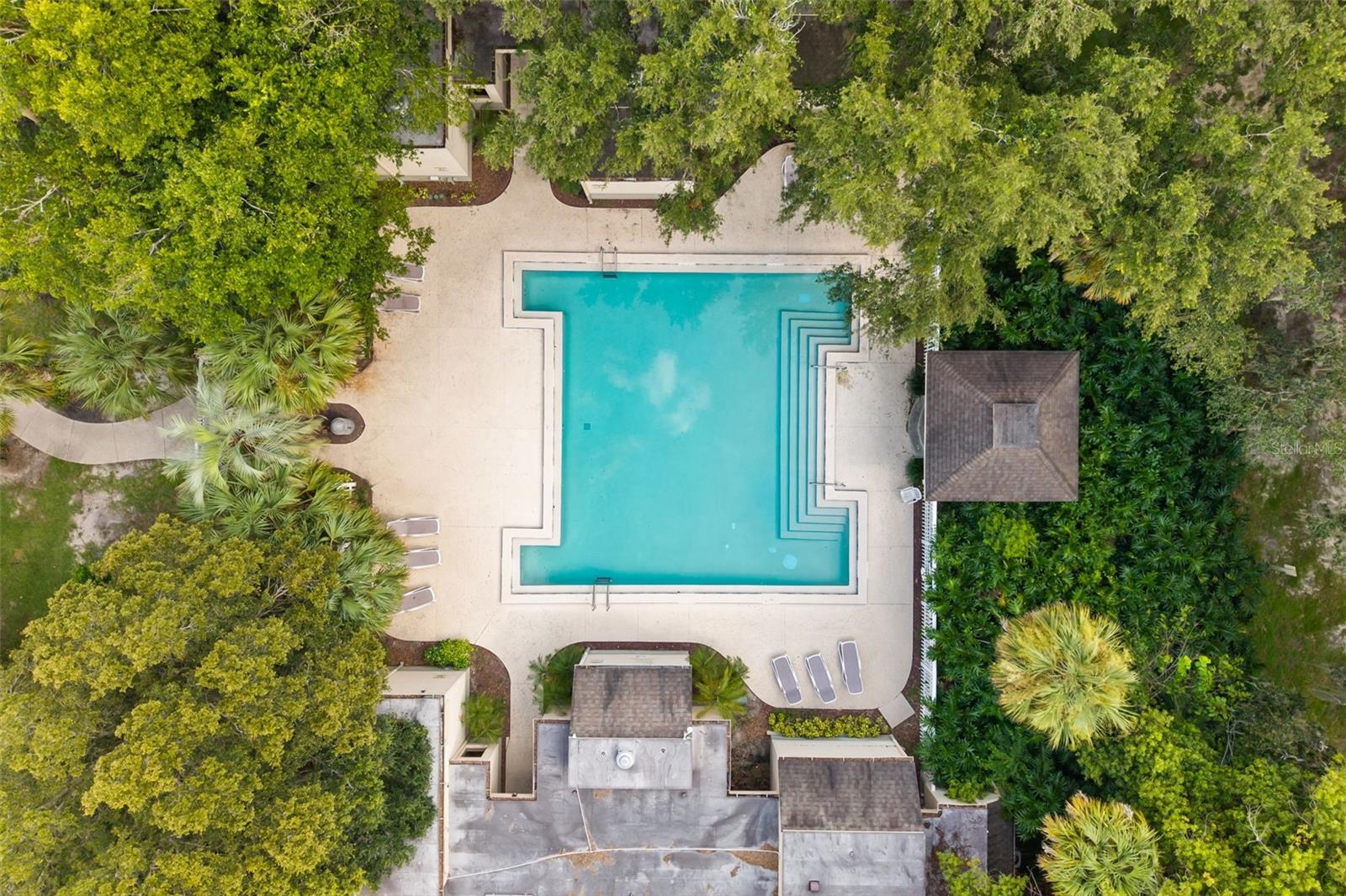 104 WILD FERN DR