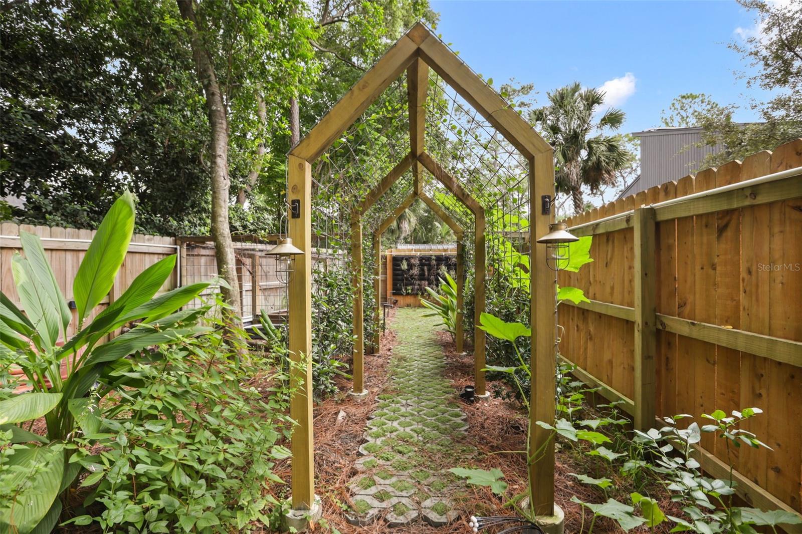 104 WILD FERN DR