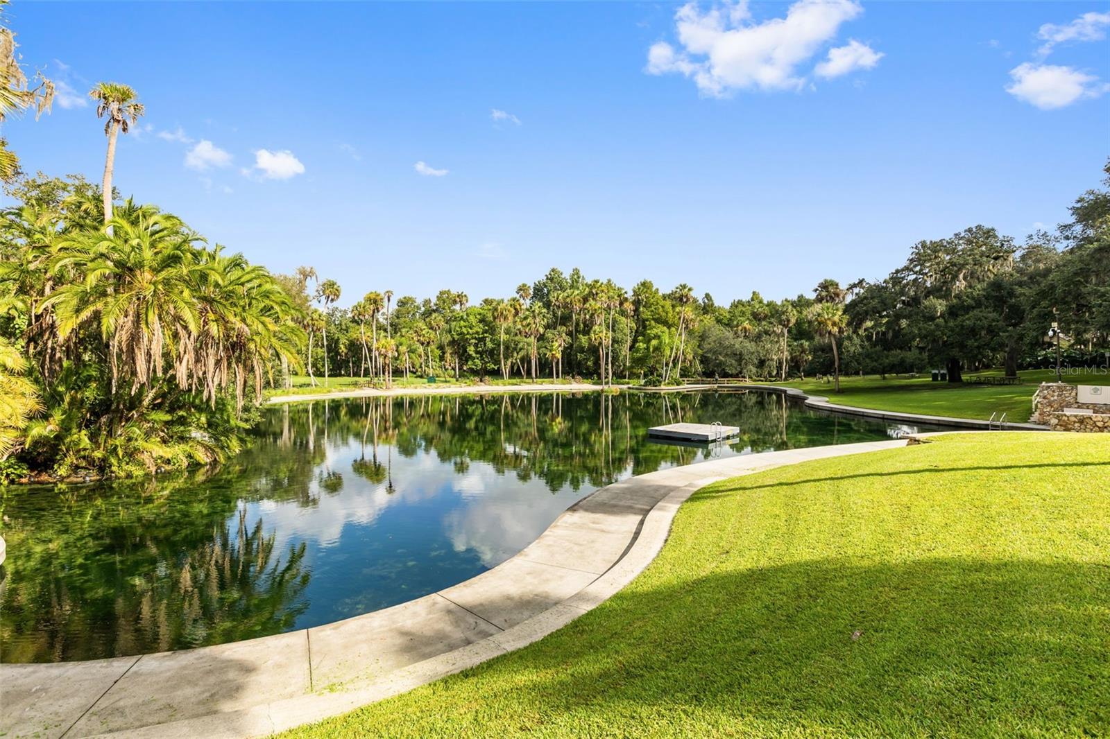 104 WILD FERN DR