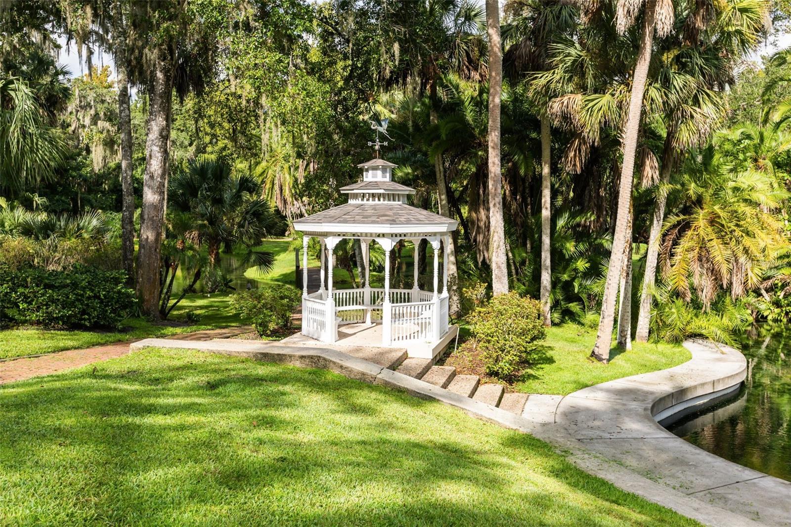 104 WILD FERN DR