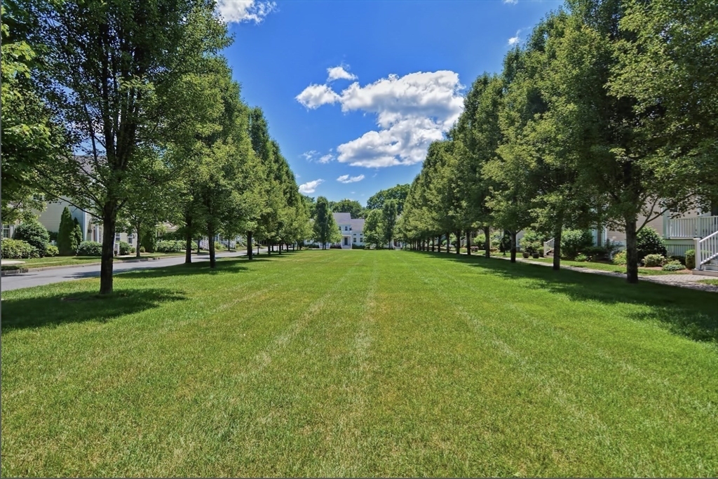 3 Maple Street # 3