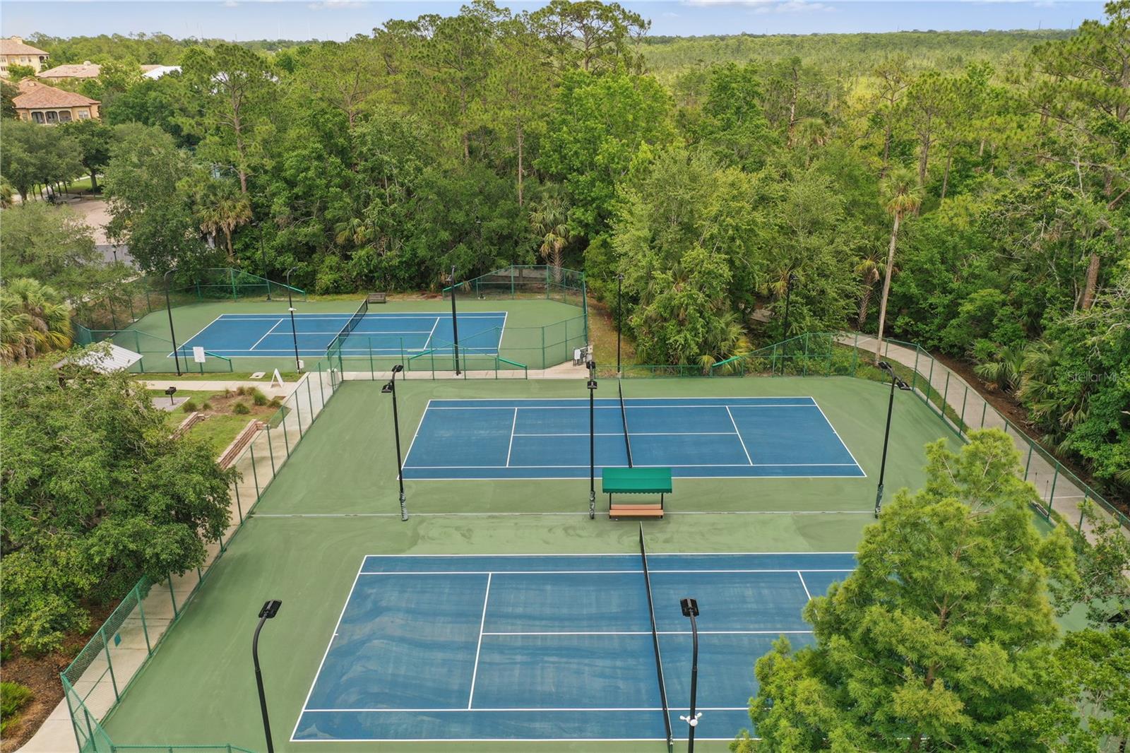 720 CELEBRATION AVE #245