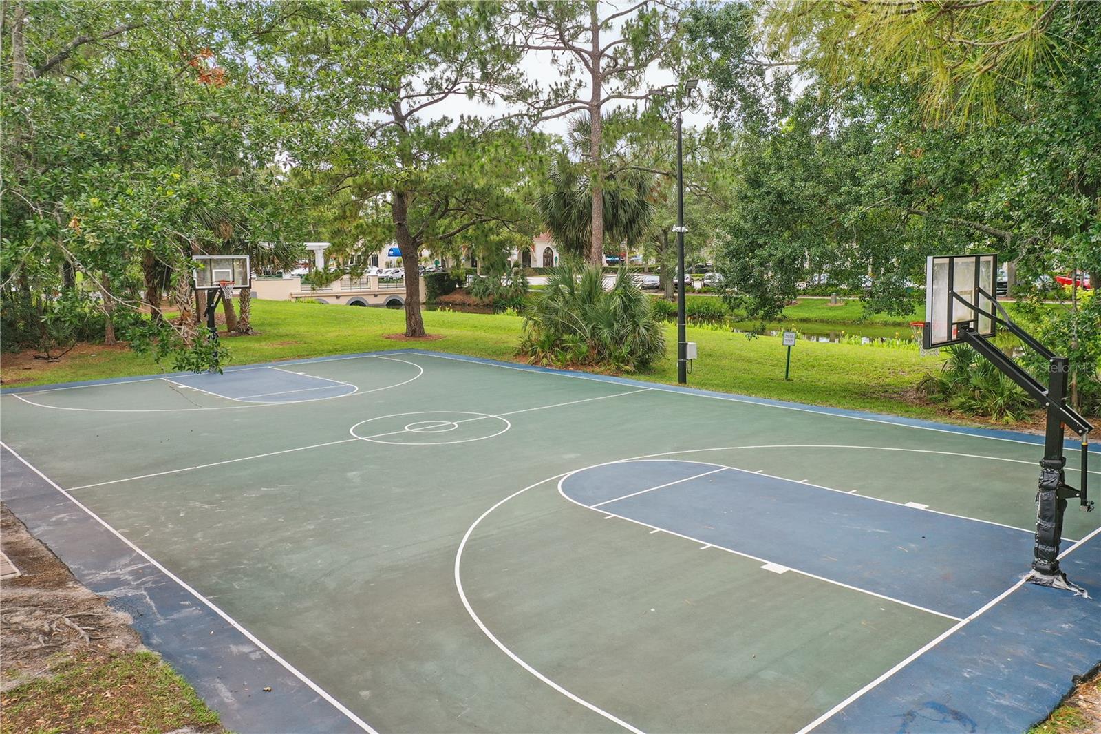 720 CELEBRATION AVE #245