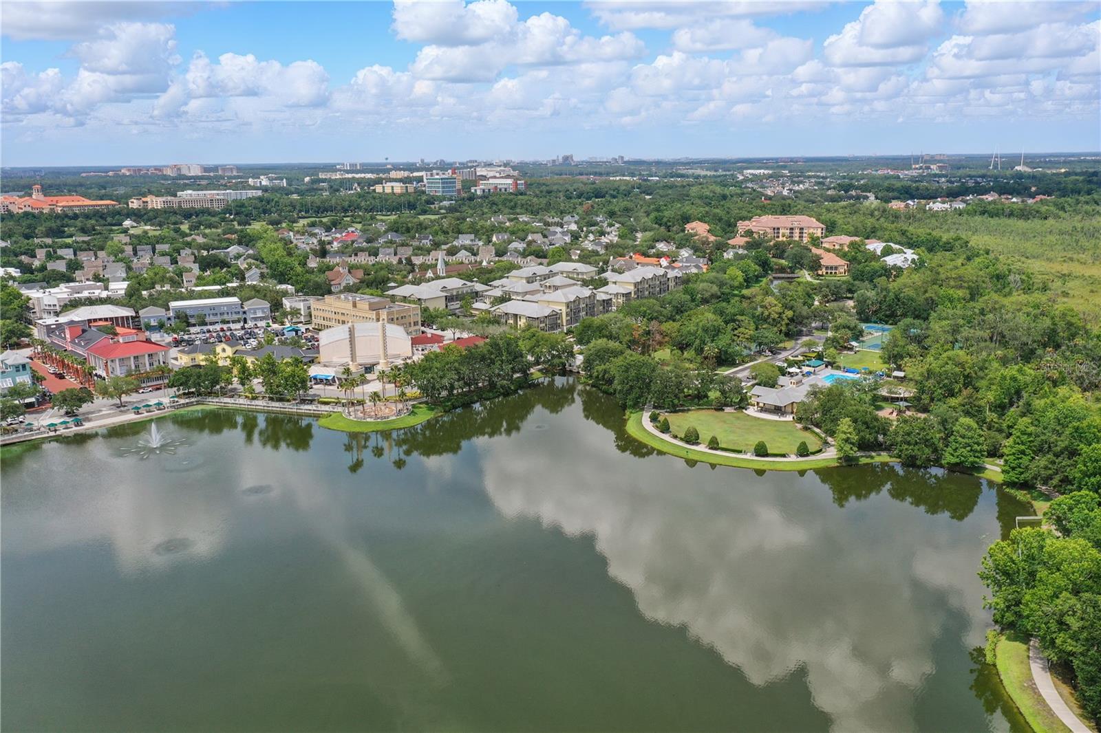 720 CELEBRATION AVE #245