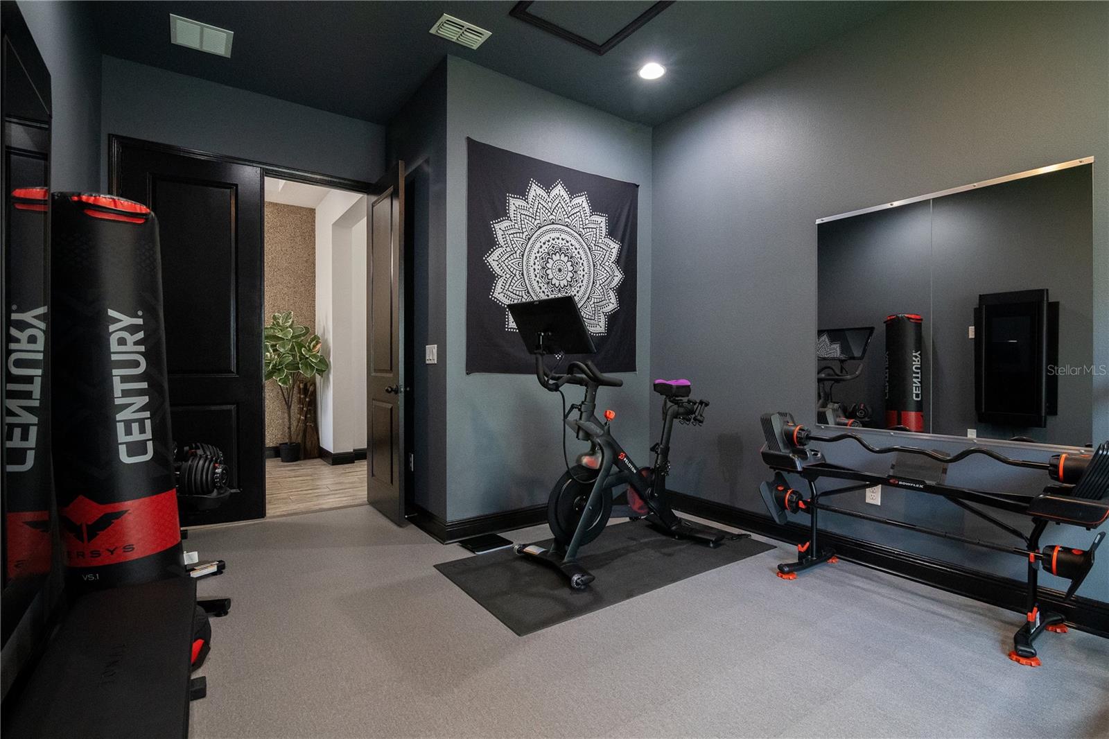 5427 ORANGE ORCHARD DR