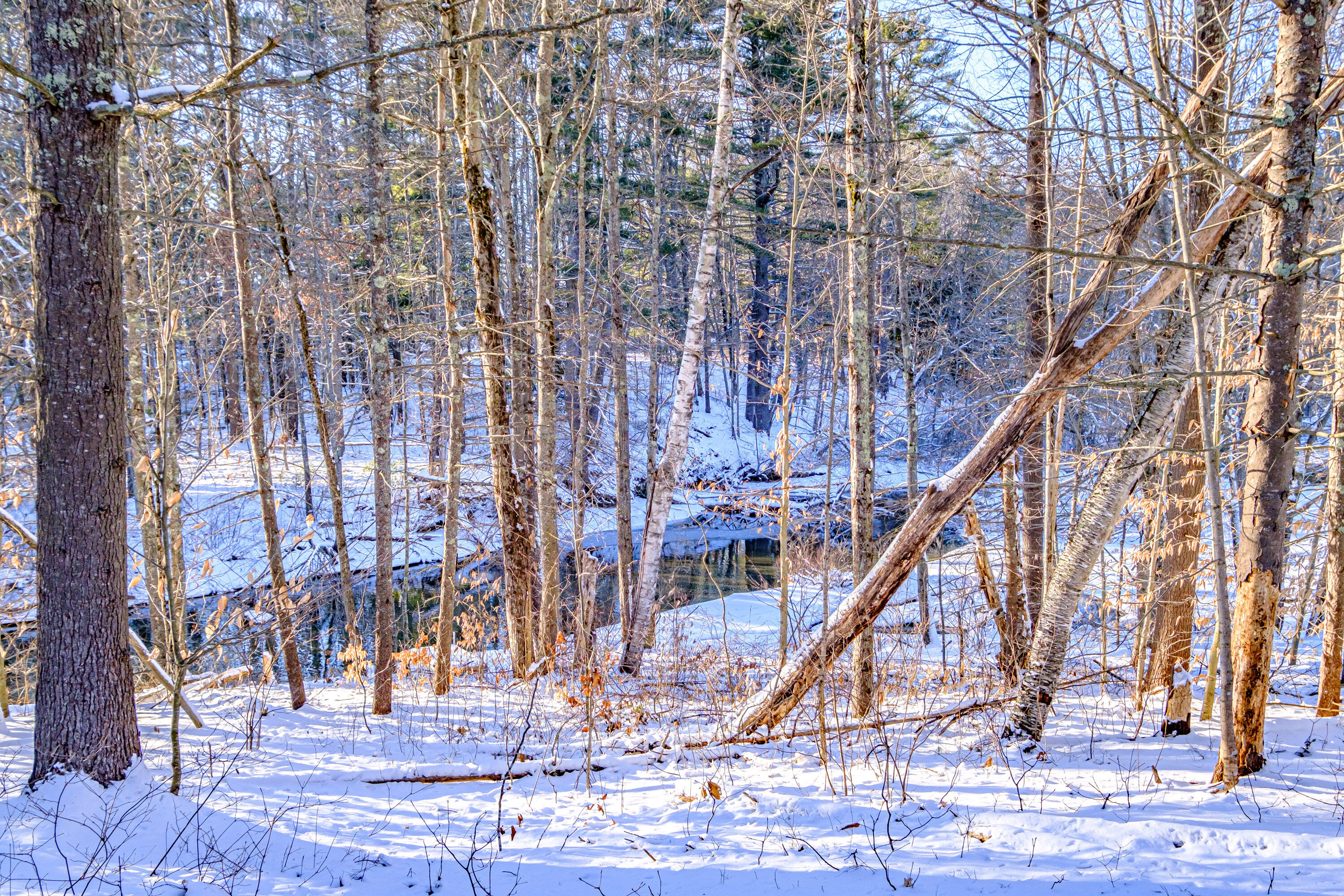 32 Webbs Mills Road