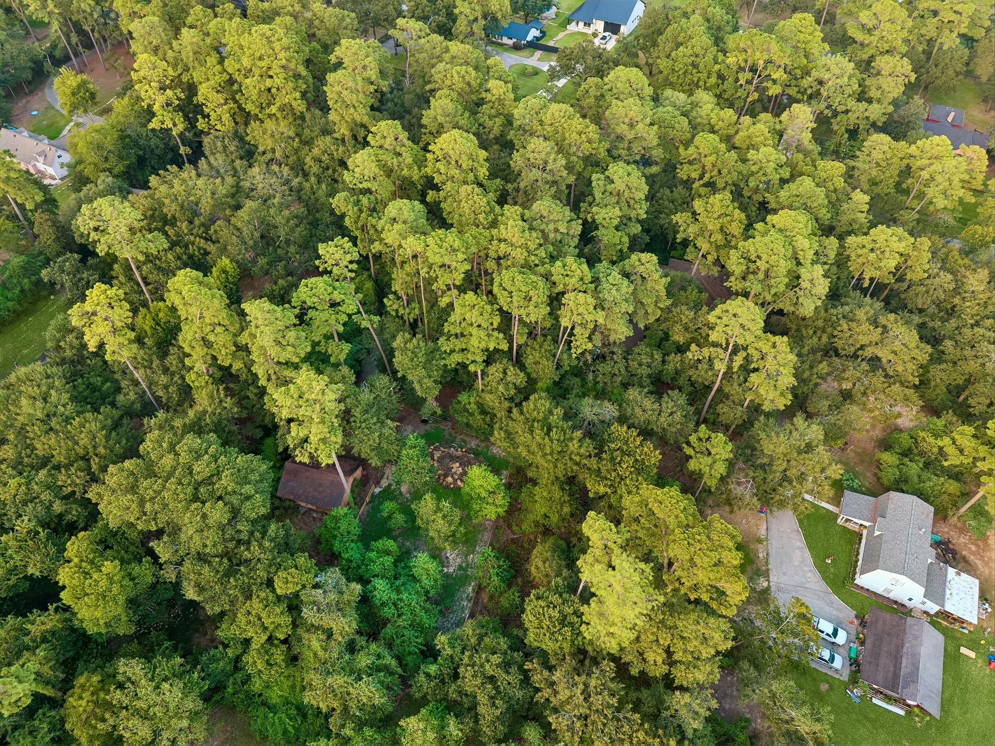 12503 E Shadow Lake Lane