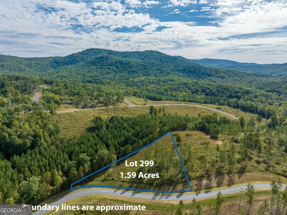 LOT 299 Twisted Oak Road