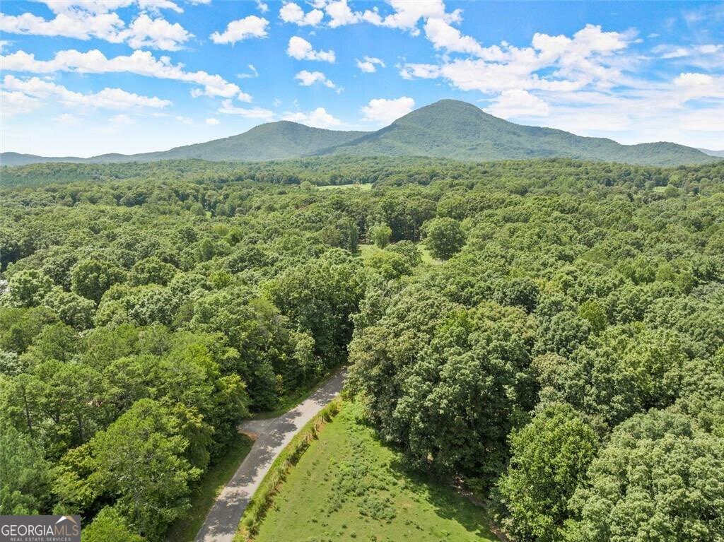 0 Arthur Allen Road, Lot 2 Road