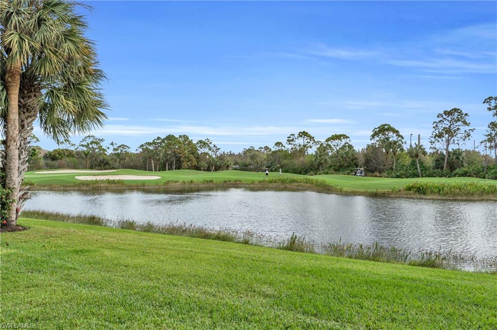 7850 Classics CT # 101