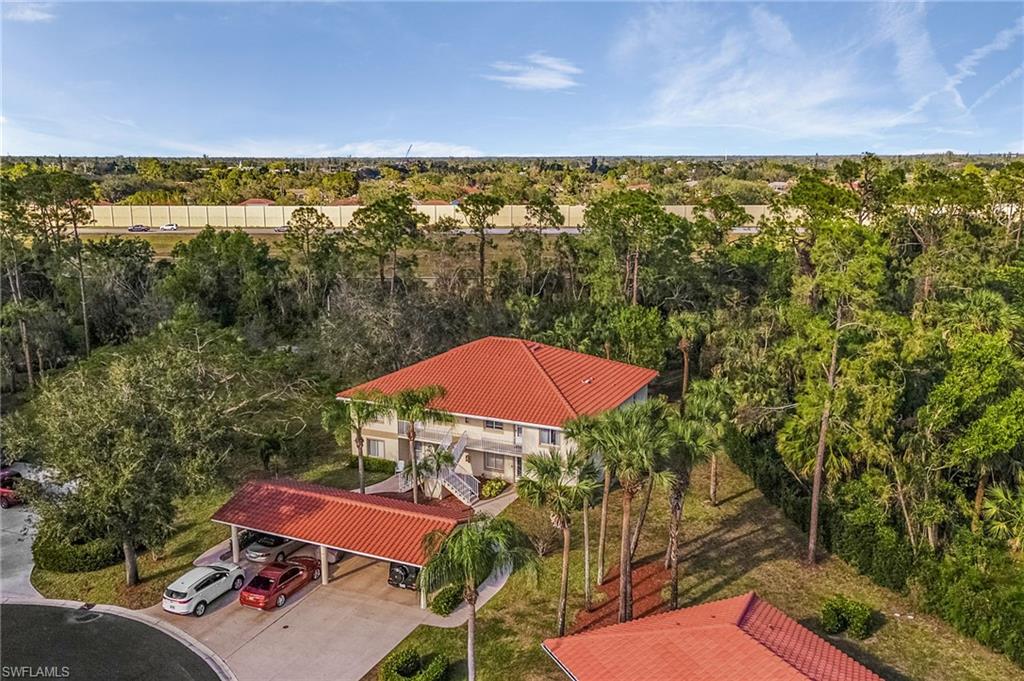 620 Luisa CT 803